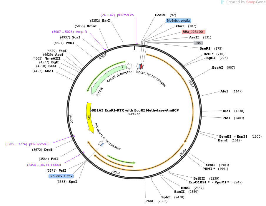 The Most Important Discovery of Biology in the 20th Century: Genetic Scissors - My, The science, Nauchpop, Longpost