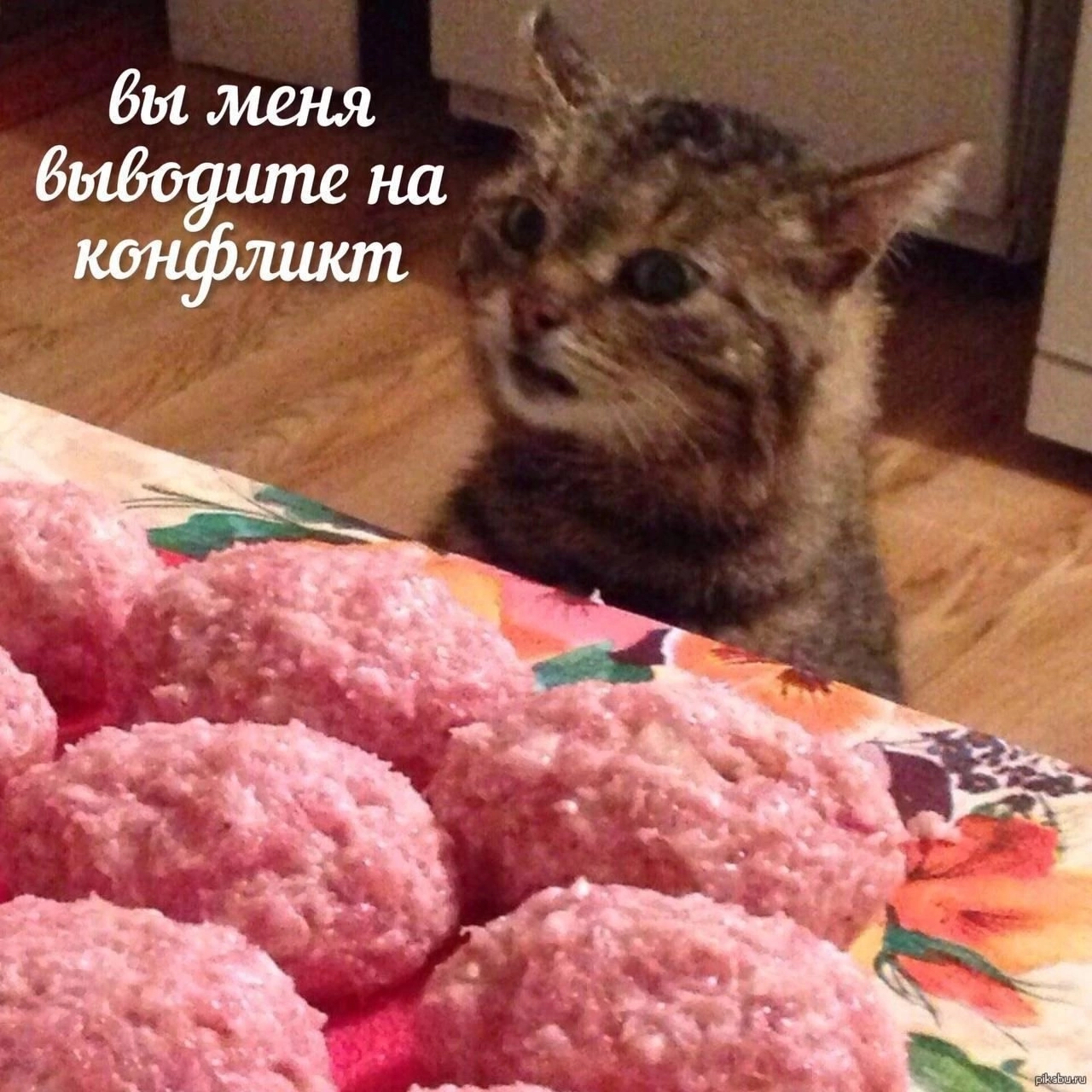 Well, really. - Humor, Picture with text, Memes, cat, Meat, Telegram (link)