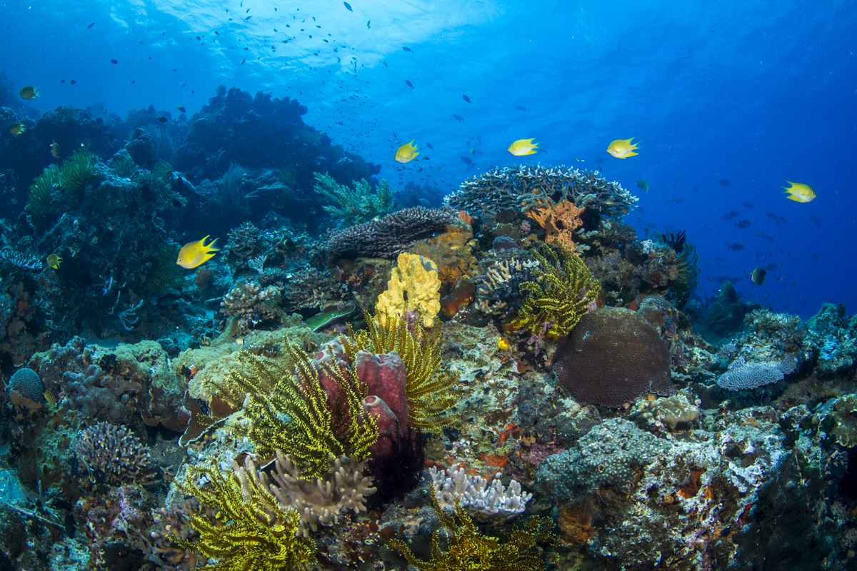 A creepy museum that is located at the bottom of the sea - My, Informative, sights, Art, Museum, Country, Around the world, Longpost