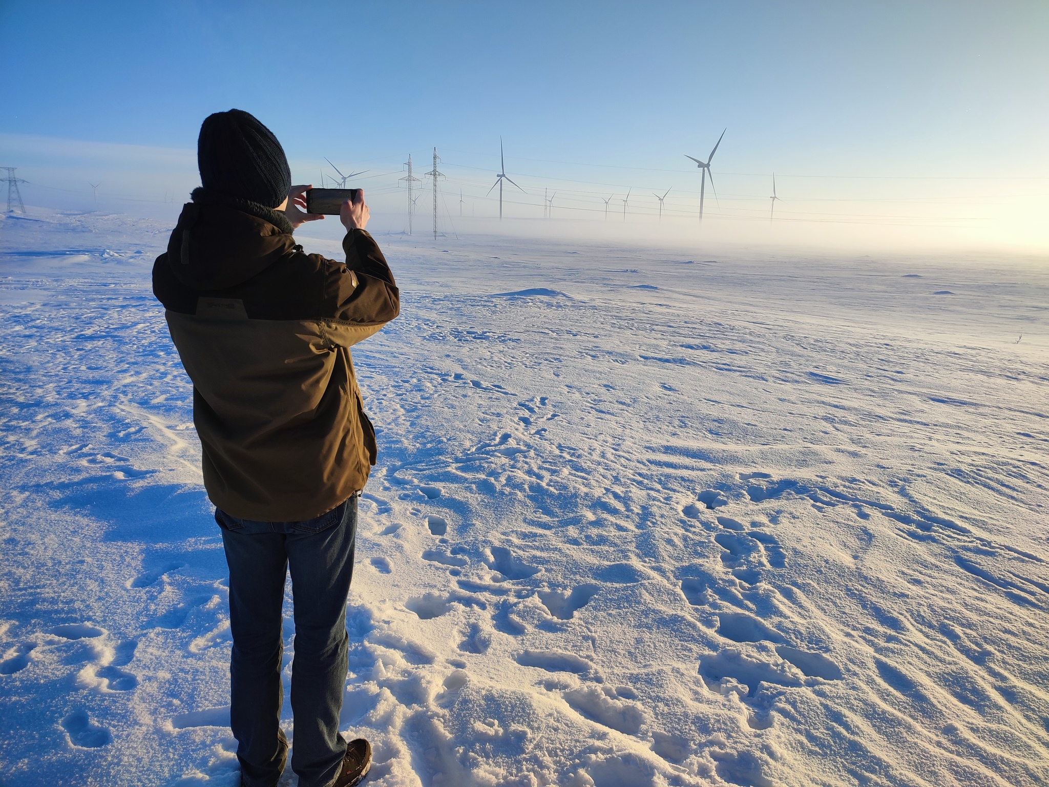 Teriberka. Journey to the End of the Earth - My, Teriberka, Polar Lights, Kola Peninsula, Murmansk region, Travels, Reindeer, Husky, Scallop, King crab, Sea urchin, Far North, Longpost