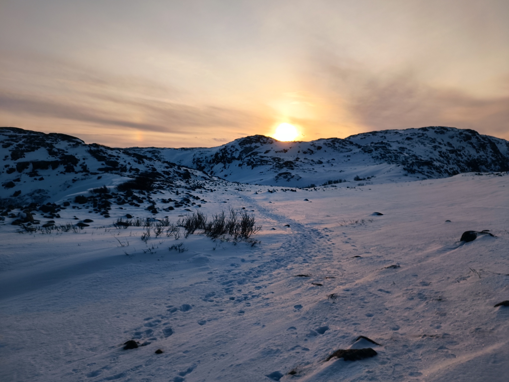 Teriberka. Journey to the End of the Earth - My, Teriberka, Polar Lights, Kola Peninsula, Murmansk region, Travels, Reindeer, Husky, Scallop, King crab, Sea urchin, Far North, Longpost