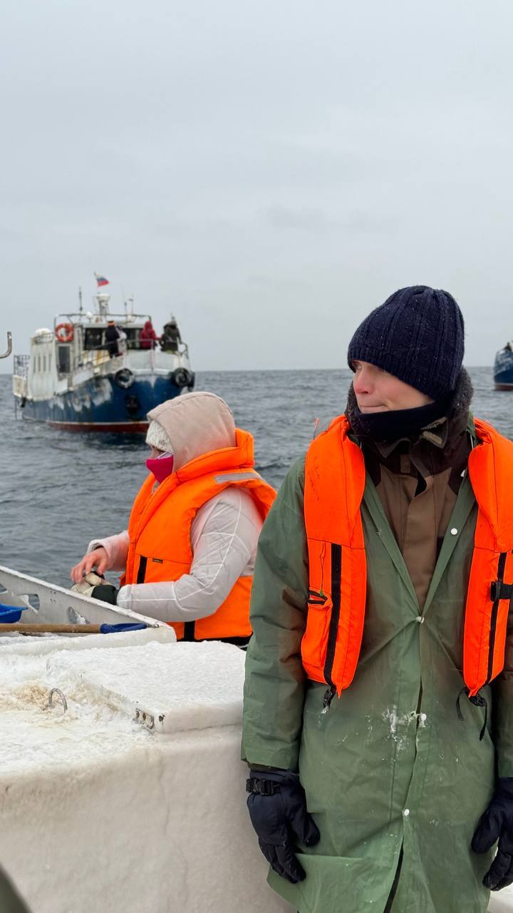 Teriberka. Journey to the End of the Earth - My, Teriberka, Polar Lights, Kola Peninsula, Murmansk region, Travels, Reindeer, Husky, Scallop, King crab, Sea urchin, Far North, Longpost