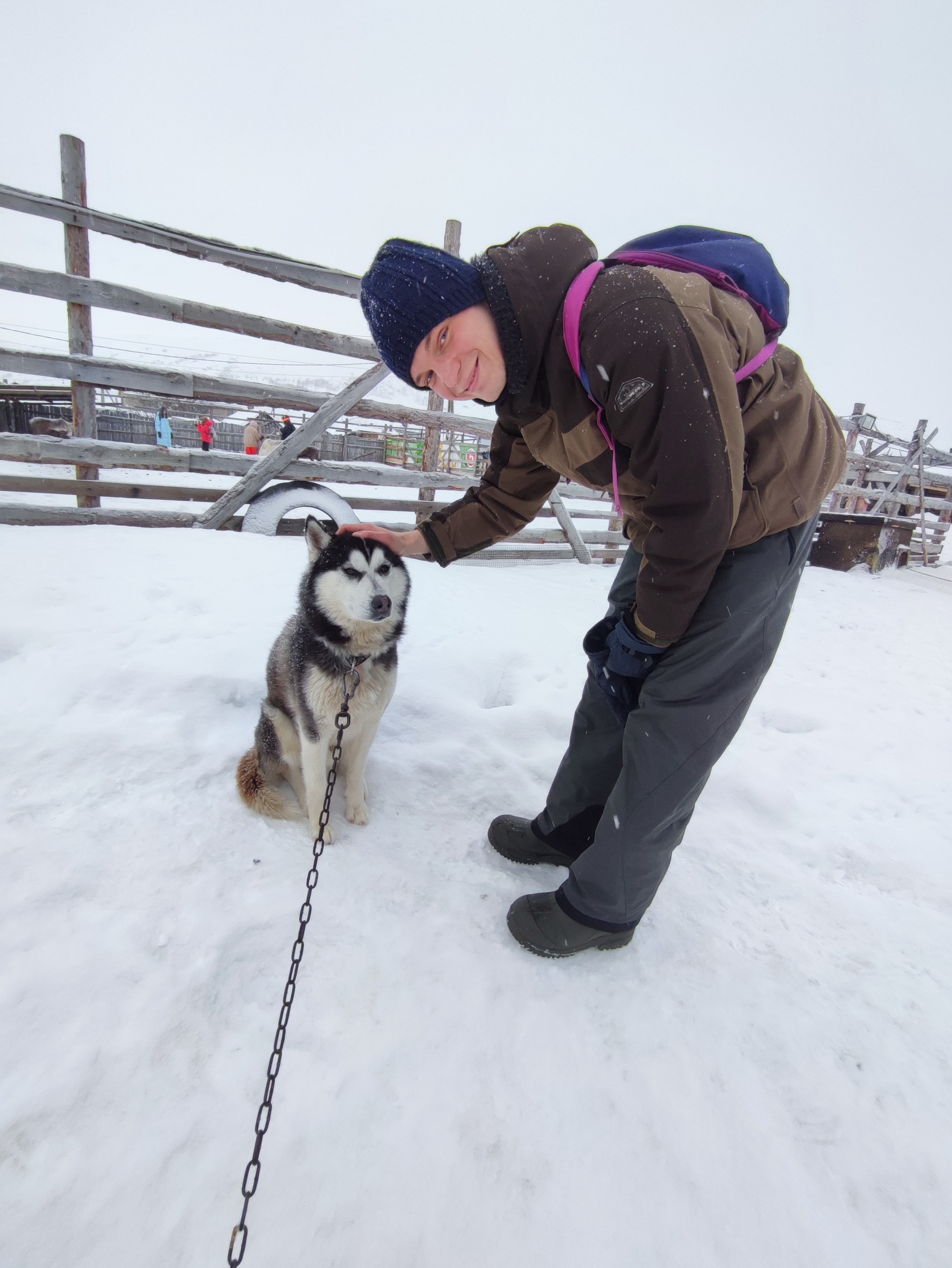 Teriberka. Journey to the End of the Earth - My, Teriberka, Polar Lights, Kola Peninsula, Murmansk region, Travels, Reindeer, Husky, Scallop, King crab, Sea urchin, Far North, Longpost