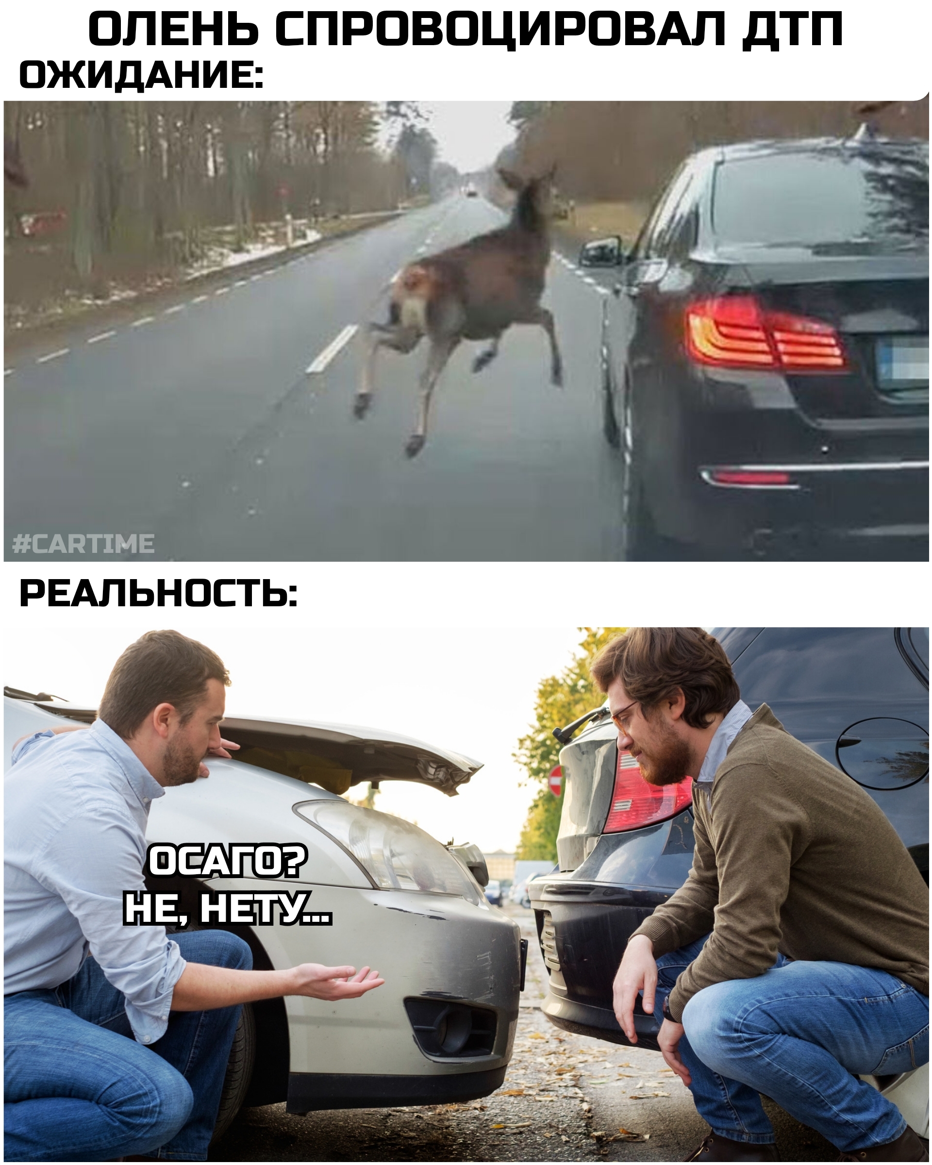 Deer... - My, Auto, Humor, OSAGO, Road accident, Picture with text