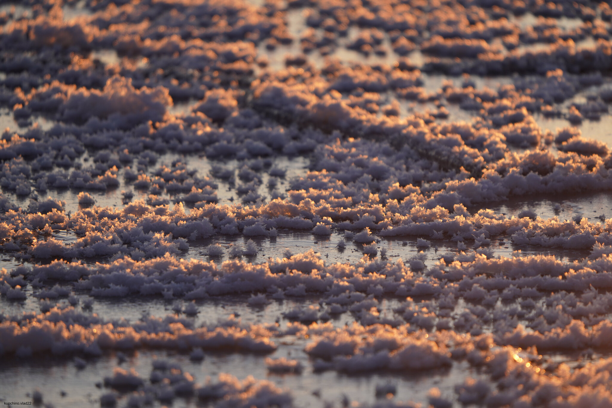 Ice flowers on the Gulf of Finland. December 2024 - My, The photo, Saint Petersburg, Sunset, The Gulf of Finland, Longpost