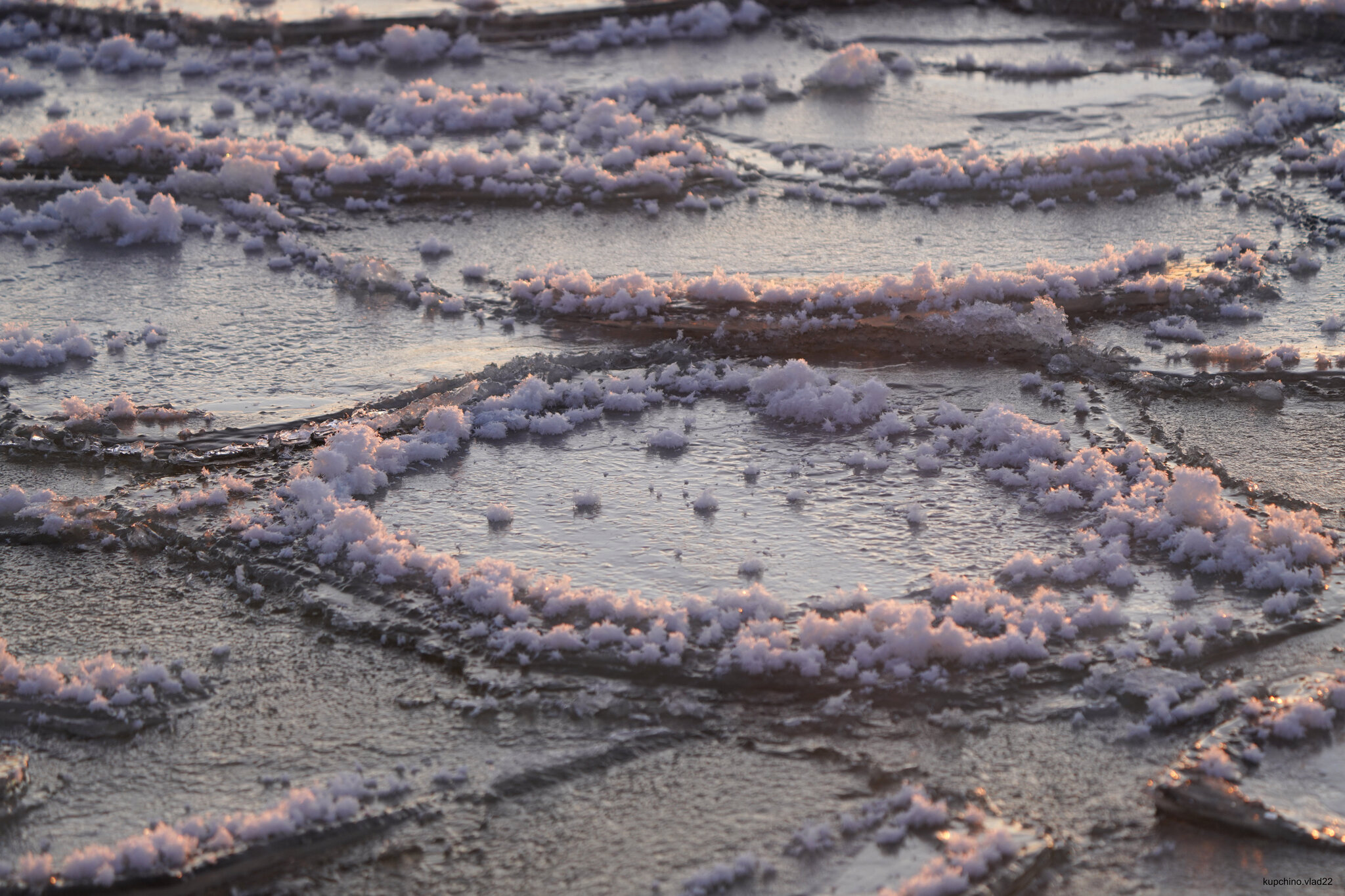 Ice flowers on the Gulf of Finland. December 2024 - My, The photo, Saint Petersburg, Sunset, The Gulf of Finland, Longpost