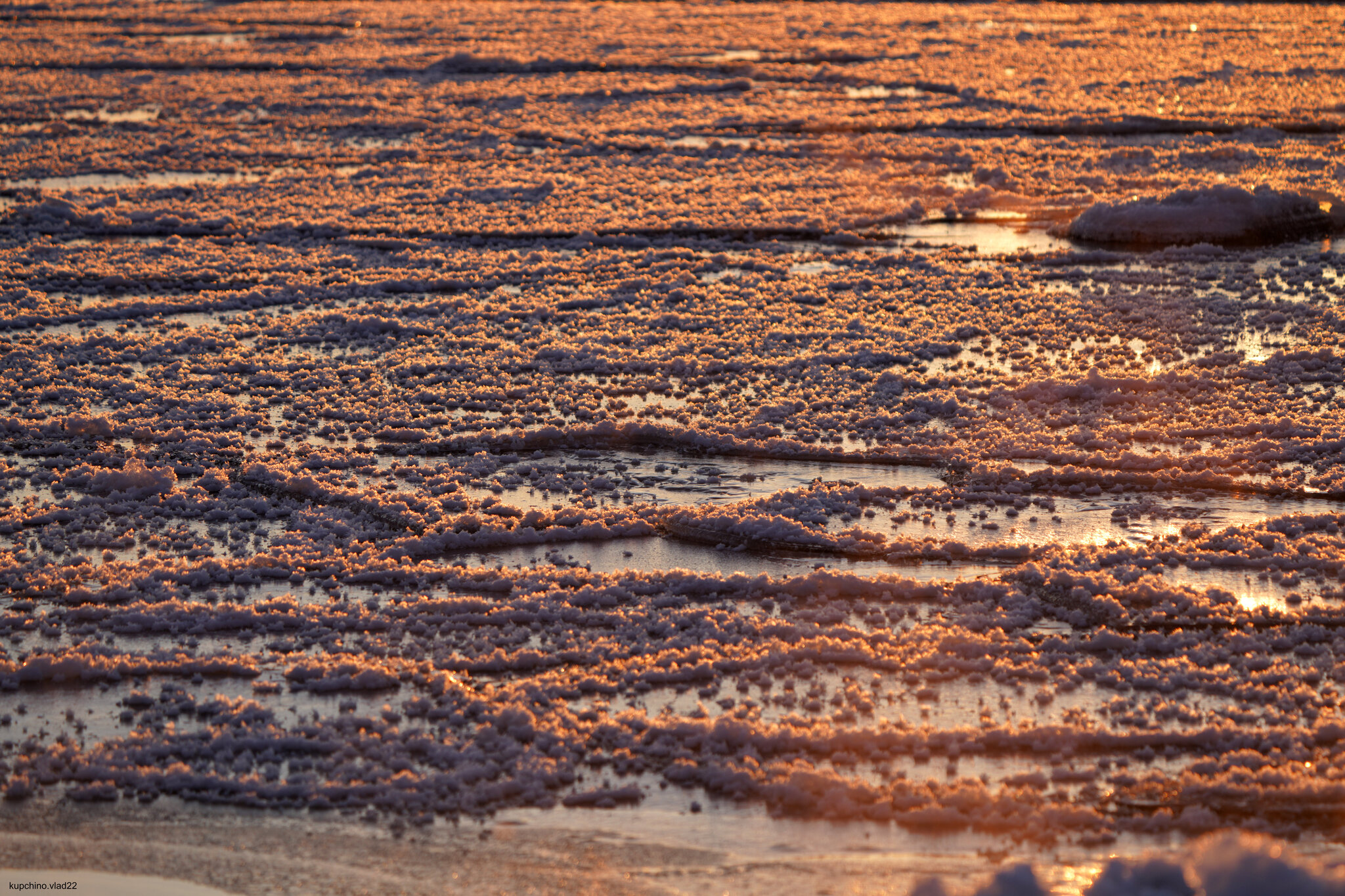 Ice flowers on the Gulf of Finland. December 2024 - My, The photo, Saint Petersburg, Sunset, The Gulf of Finland, Longpost