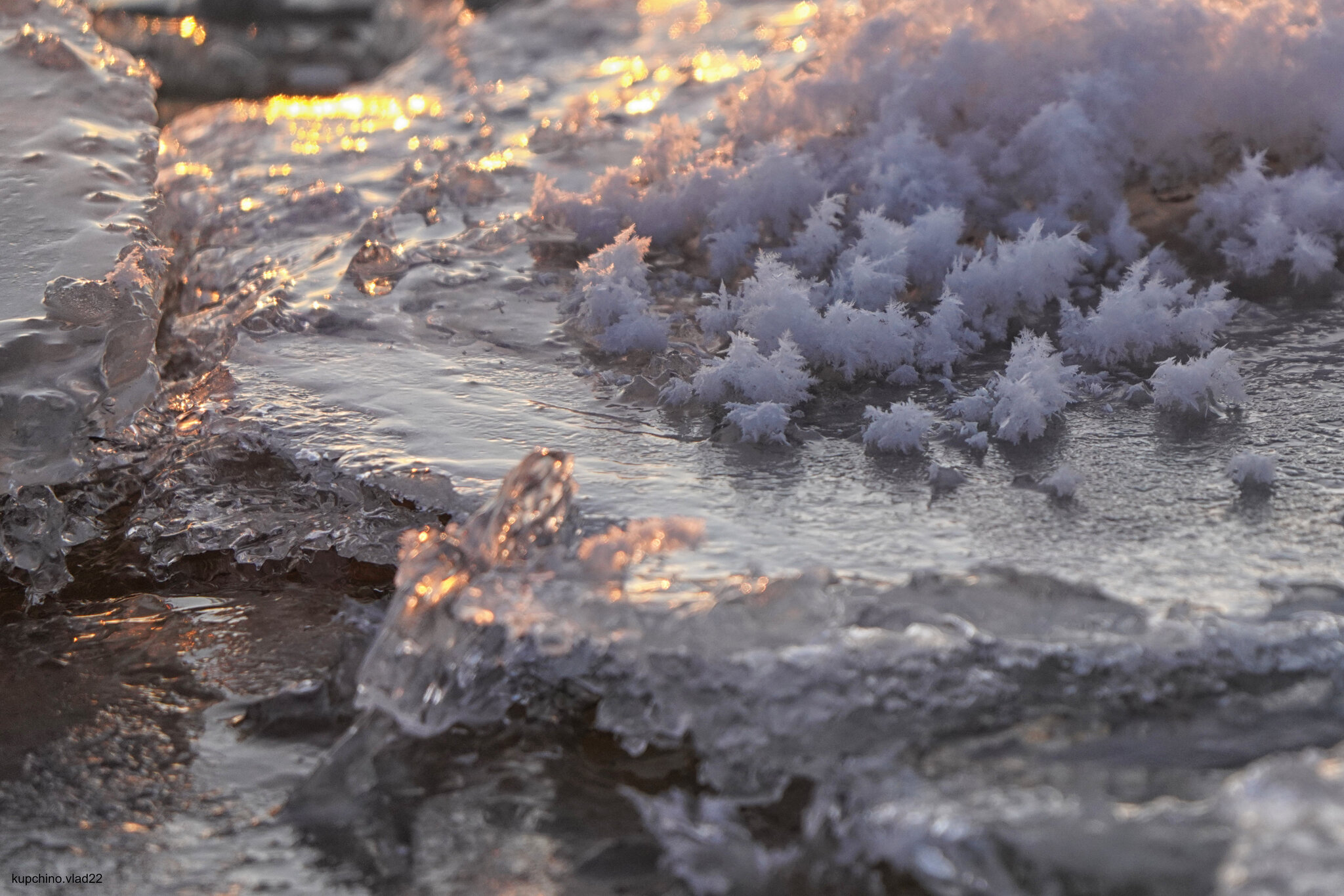 Ice flowers on the Gulf of Finland. December 2024 - My, The photo, Saint Petersburg, Sunset, The Gulf of Finland, Longpost