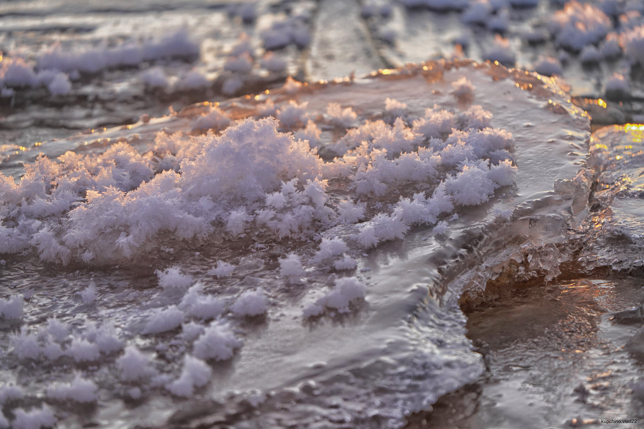 Ice flowers on the Gulf of Finland. December 2024 - My, The photo, Saint Petersburg, Sunset, The Gulf of Finland, Longpost