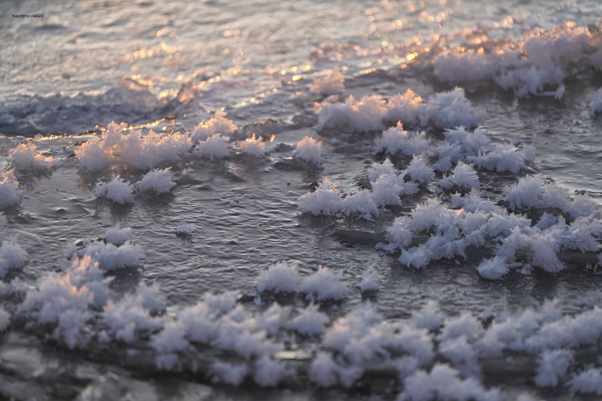 Ice flowers on the Gulf of Finland. December 2024 - My, The photo, Saint Petersburg, Sunset, The Gulf of Finland, Longpost