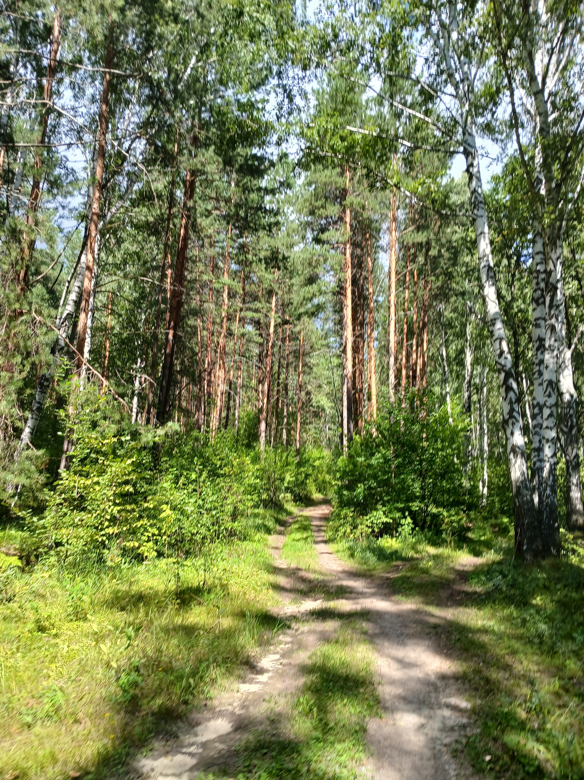 Nikolsk, Penza Region: Crystal Nostalgia. (14 photos) - My, the USSR, Nikolsk, Nostalgia, Made in USSR, Penza, Penza Oblast, Provinces, Nature, Russia, Longpost