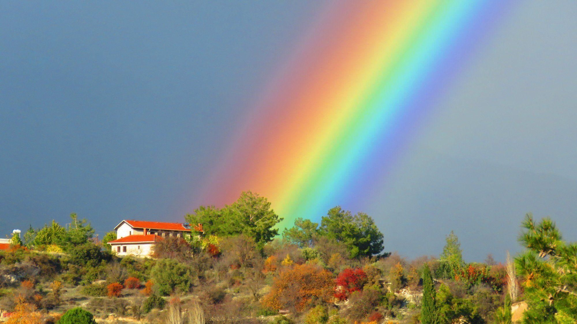 Rainbow - Радуга, Фотография