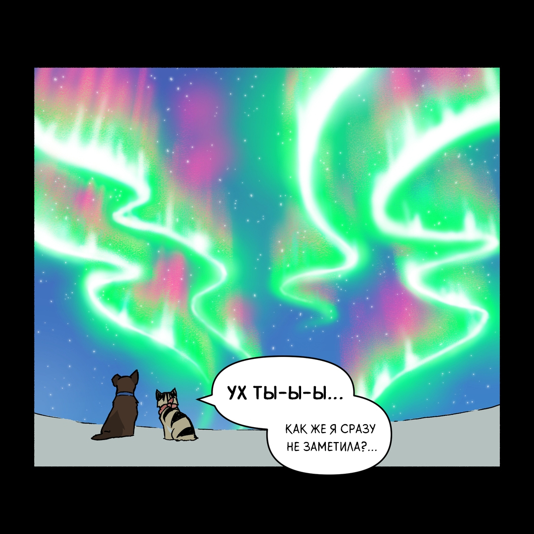 Fox lights - Comics, Pet foolery, Brutus and Pixie, Polar Lights, Longpost