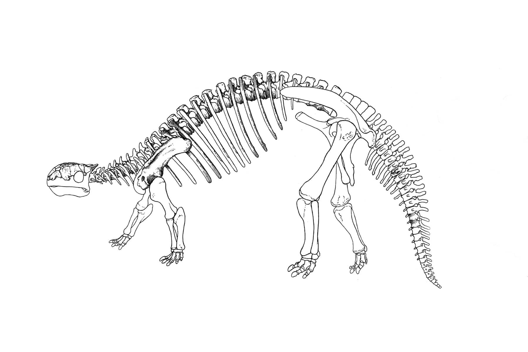 How the Search for Oil Led a Geologist to the Remains of Russia's First Dinosaur - My, Energy (energy production), Scientists, Nauchpop, Longpost, Oil, Dinosaurs, Museum of Paleontology