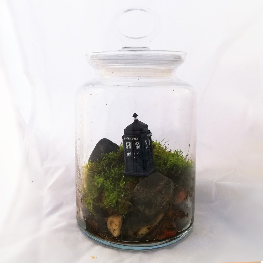 Mossariums with living moss: about one of my hobbies - My, Hobby, Moss, Unusual, Enthusiasm, Longpost