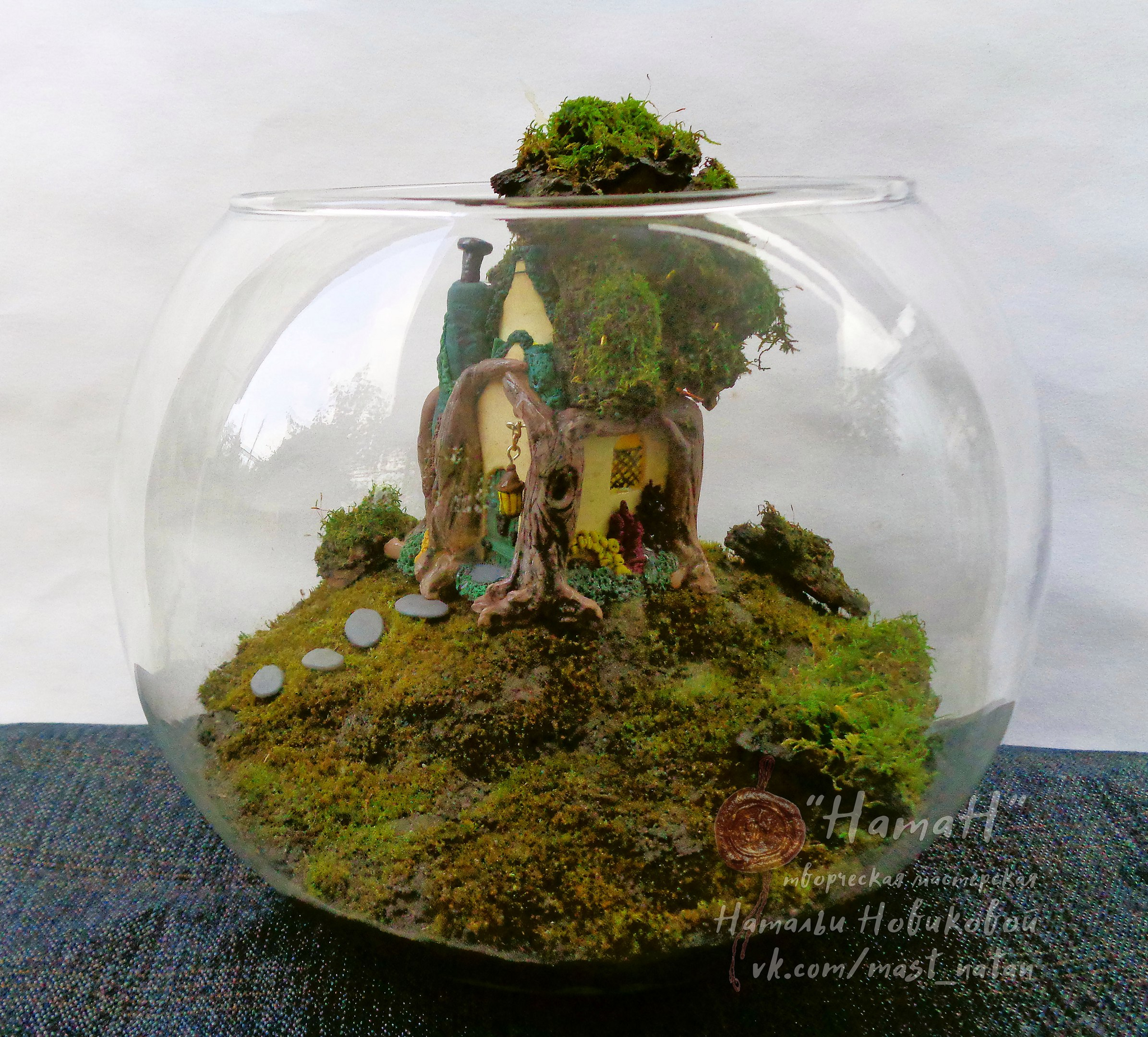 Mossariums with living moss: about one of my hobbies - My, Hobby, Moss, Unusual, Enthusiasm, Longpost