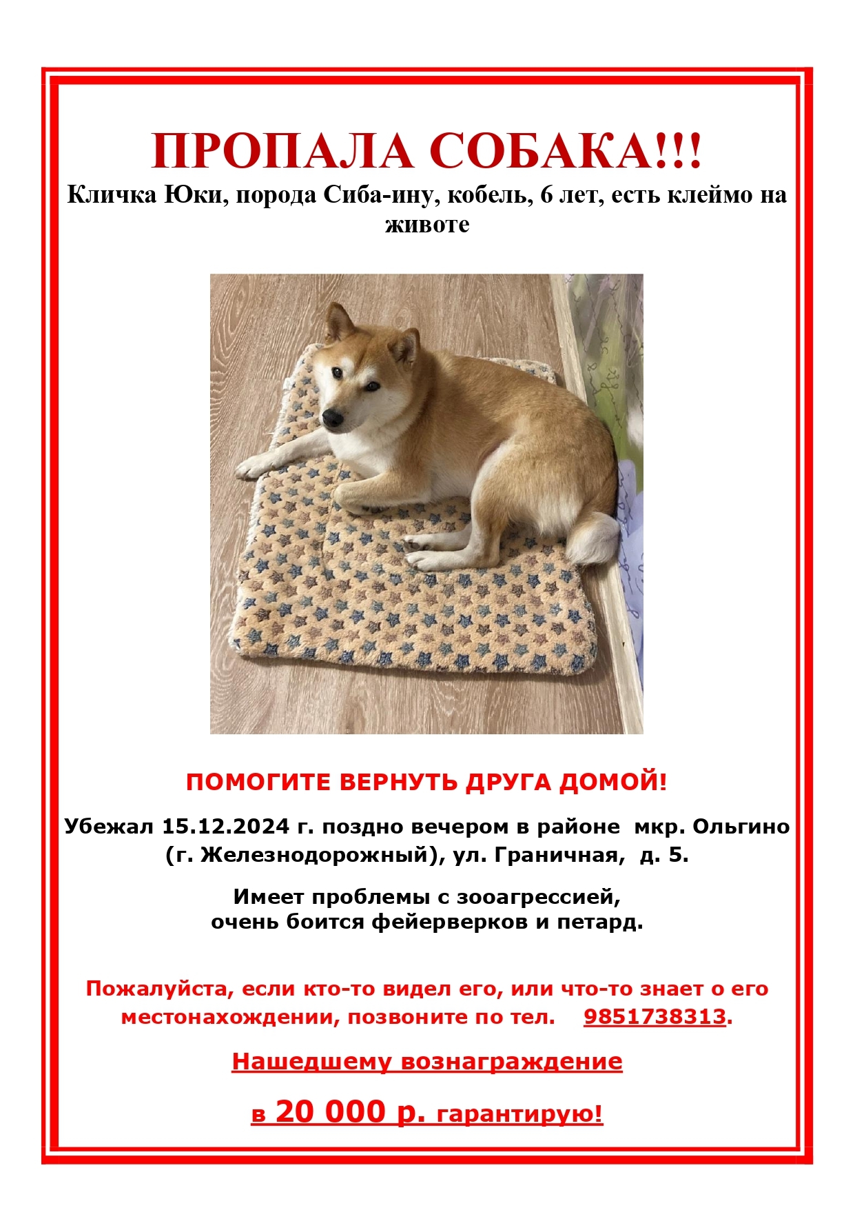 Shiba Inu dog missing! Please help find! Moscow region, Balashikha, Zheleznodorozhny - My, The dog is missing, Moscow region, Balashikha, Help, Shiba Inu, Dog, Animals, The rescue, Longpost