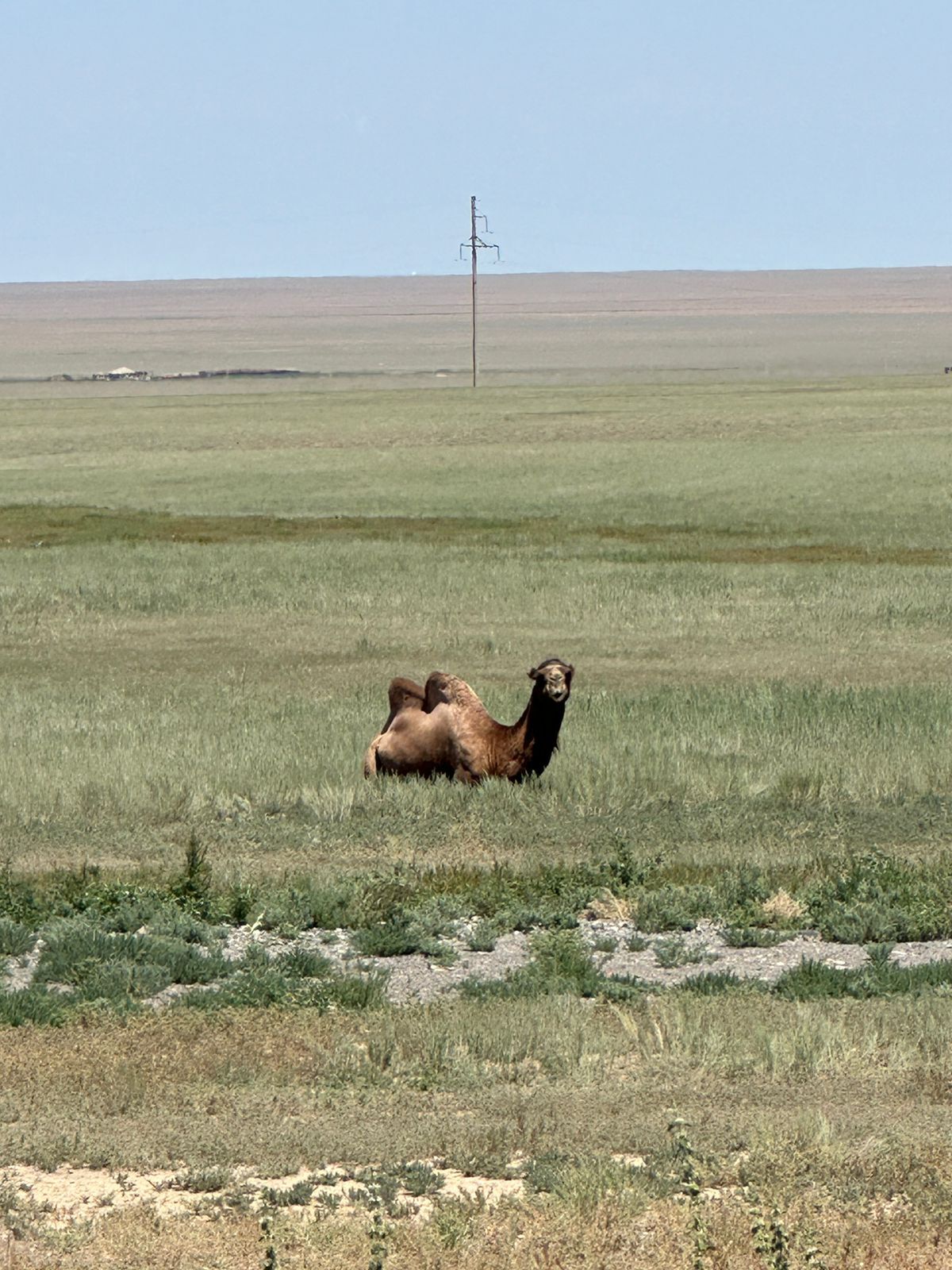 About Issyk-Kul, mountains and spiders - My, Author's story, Story, Travels, Issyk-Kul, Adventures, Life stories, Longpost