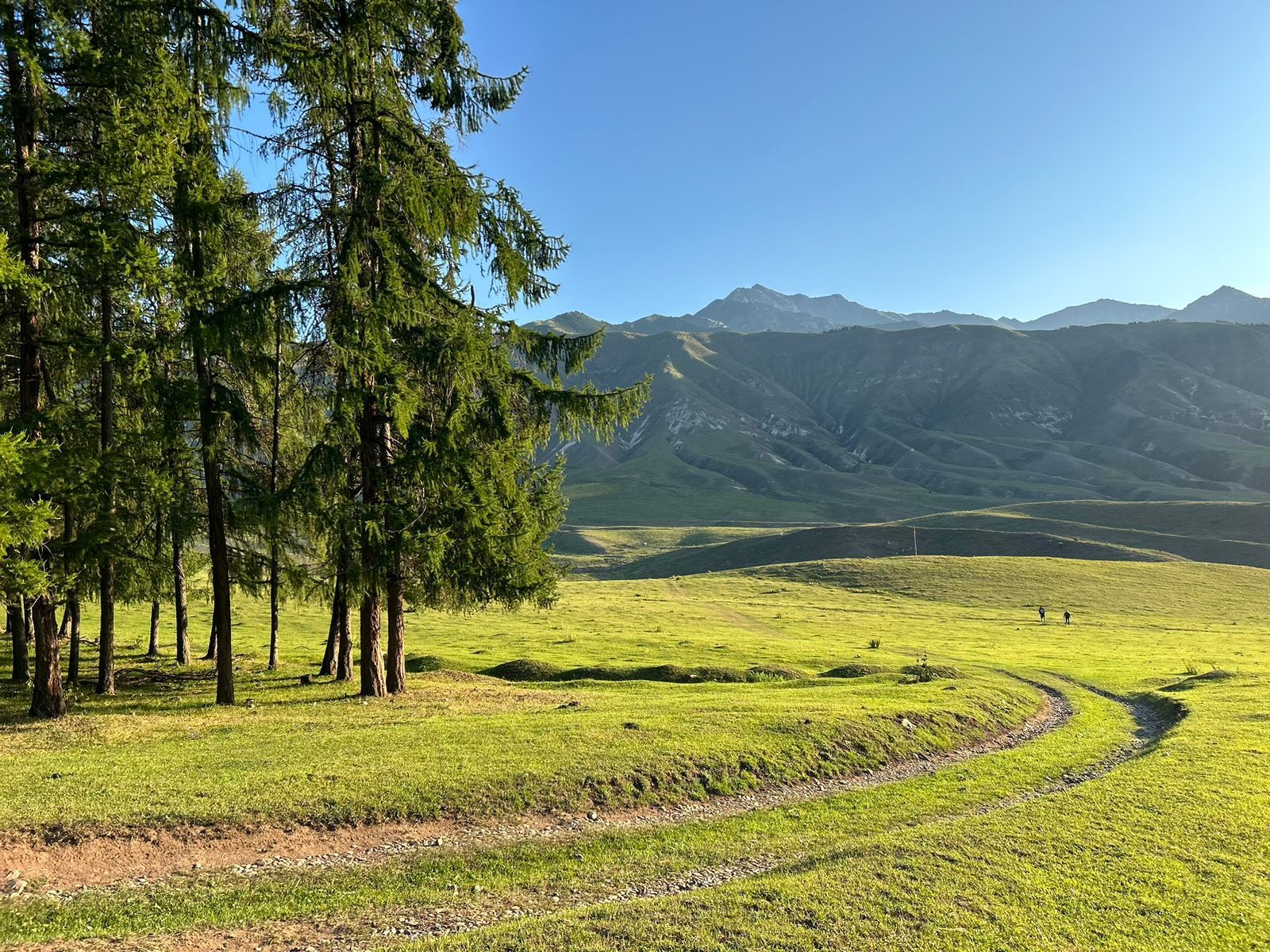 About Issyk-Kul, mountains and spiders - My, Author's story, Story, Travels, Issyk-Kul, Adventures, Life stories, Longpost