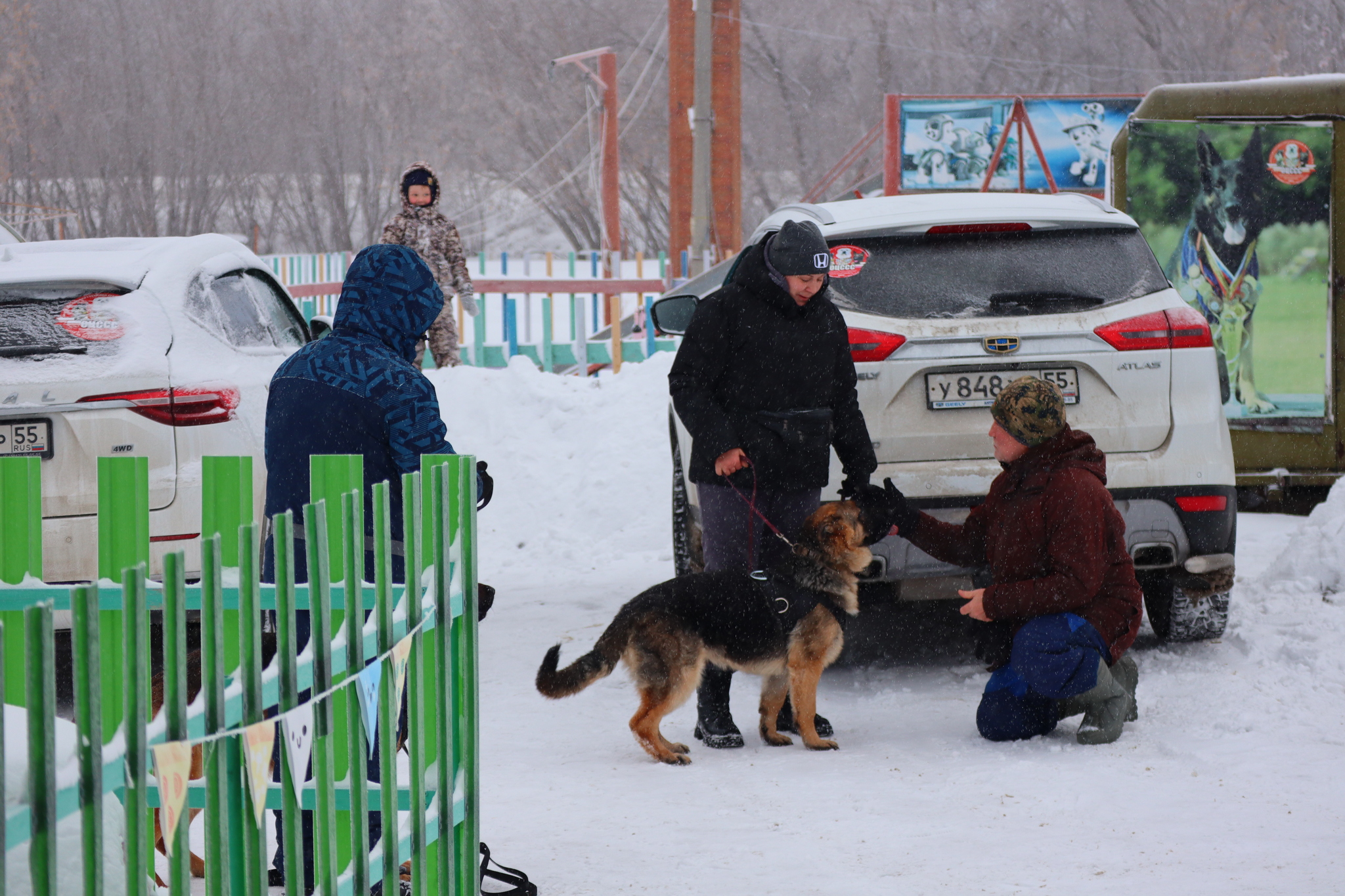 Дрессировка собак в Омске - ОЦССС 21-12-2024 - Дрессировка, Щенки, Друг, Собака, Омск, Оцссс, Забота, Доброта, Друзья, Собаководство