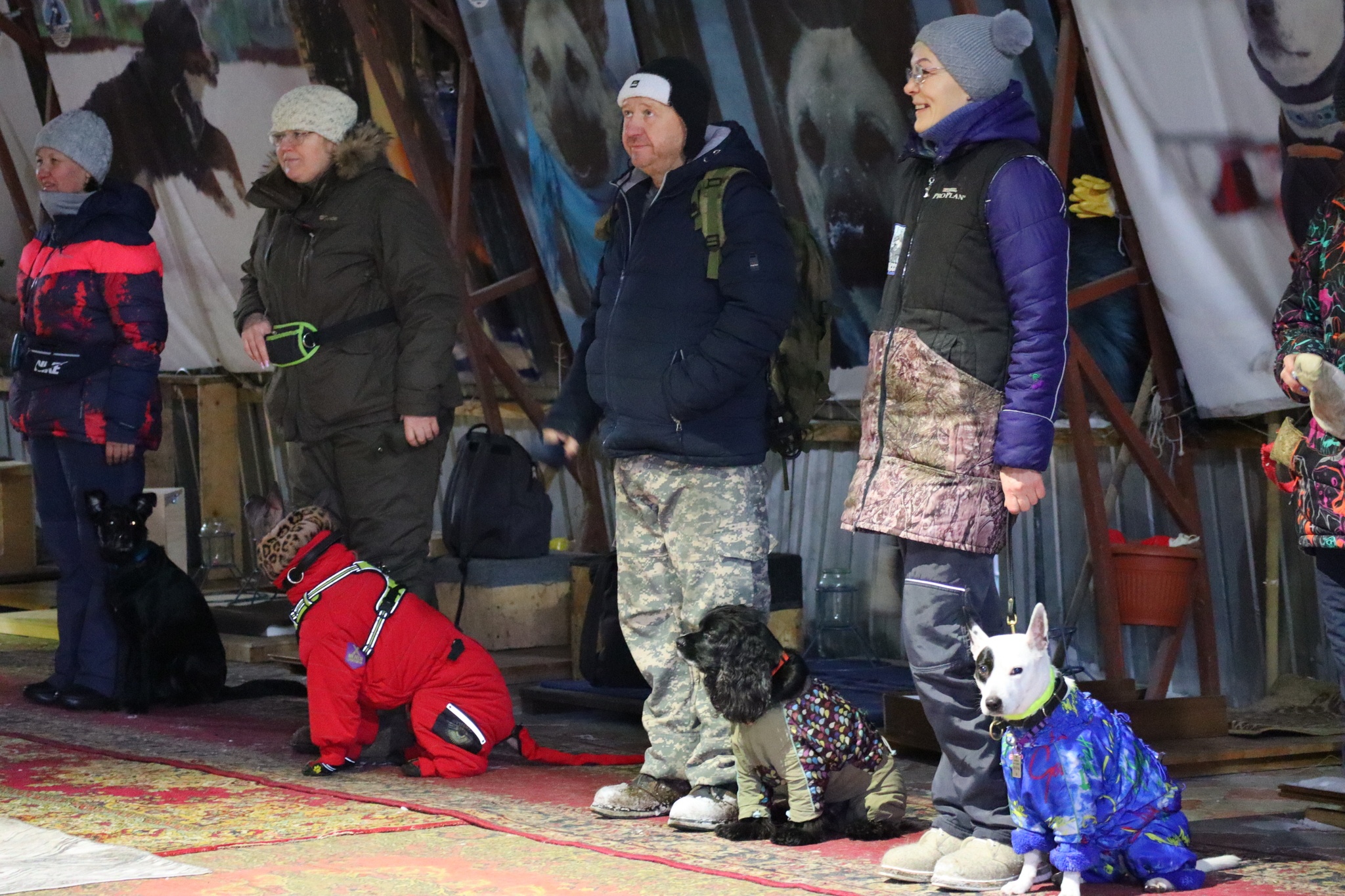 Дрессировка собак в Омске - ОЦССС 21-12-2024 - Дрессировка, Щенки, Друг, Собака, Омск, Оцссс, Забота, Доброта, Друзья, Собаководство