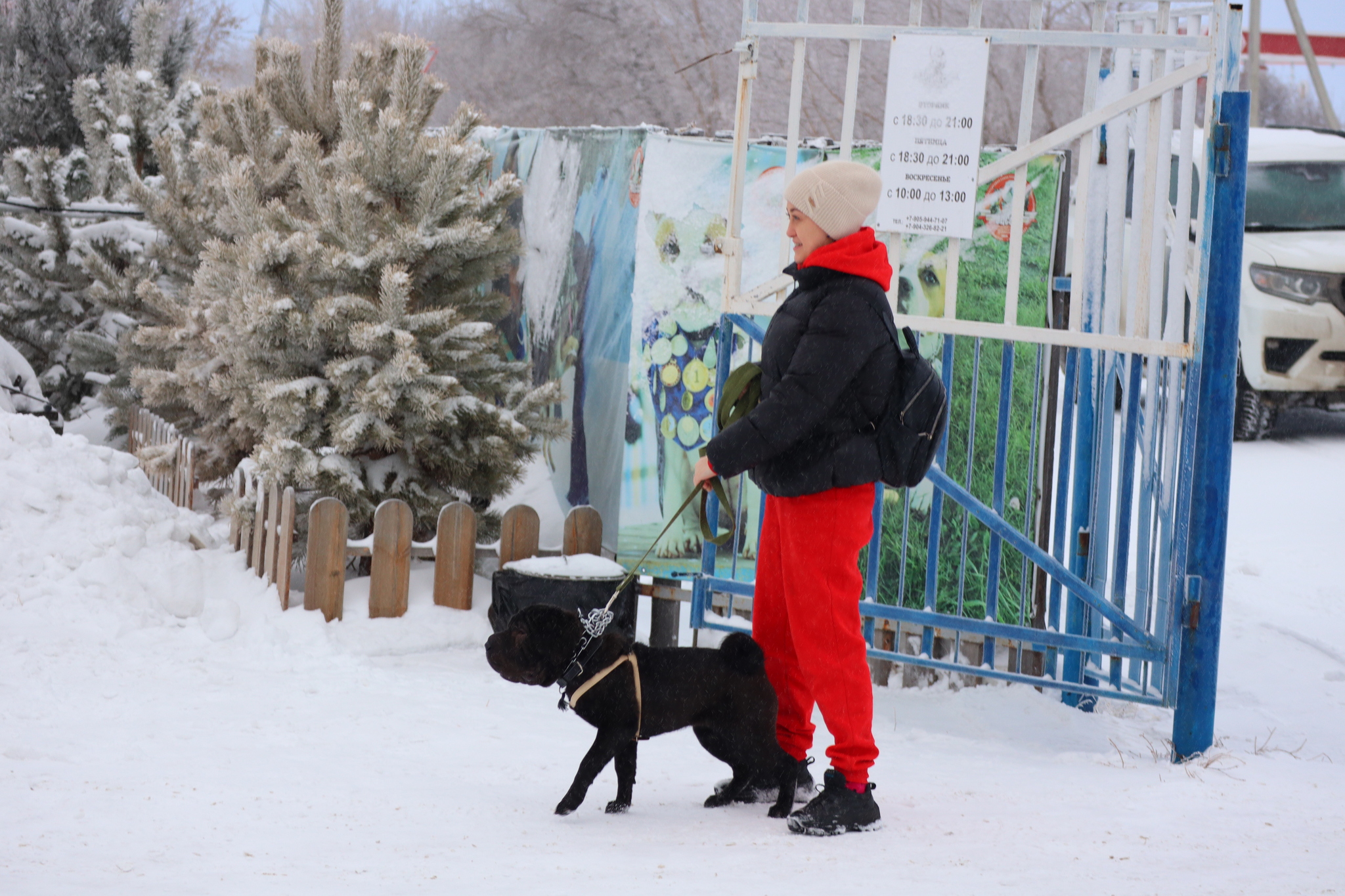 Дрессировка собак в Омске - ОЦССС 21-12-2024 - Дрессировка, Щенки, Друг, Собака, Омск, Оцссс, Забота, Доброта, Друзья, Собаководство