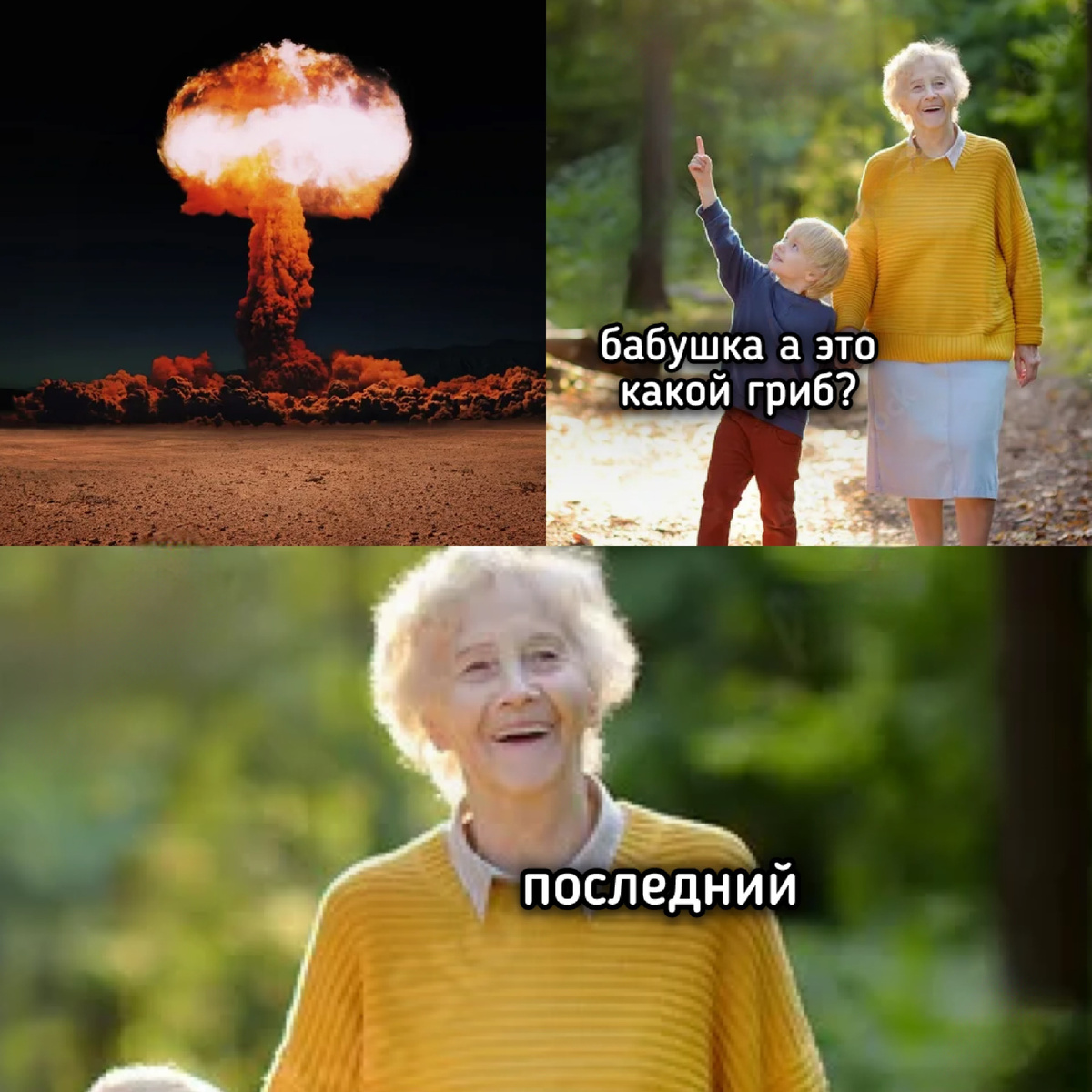 It's all mushrooms - Humor, Black humor, Picture with text, Nuclear explosion