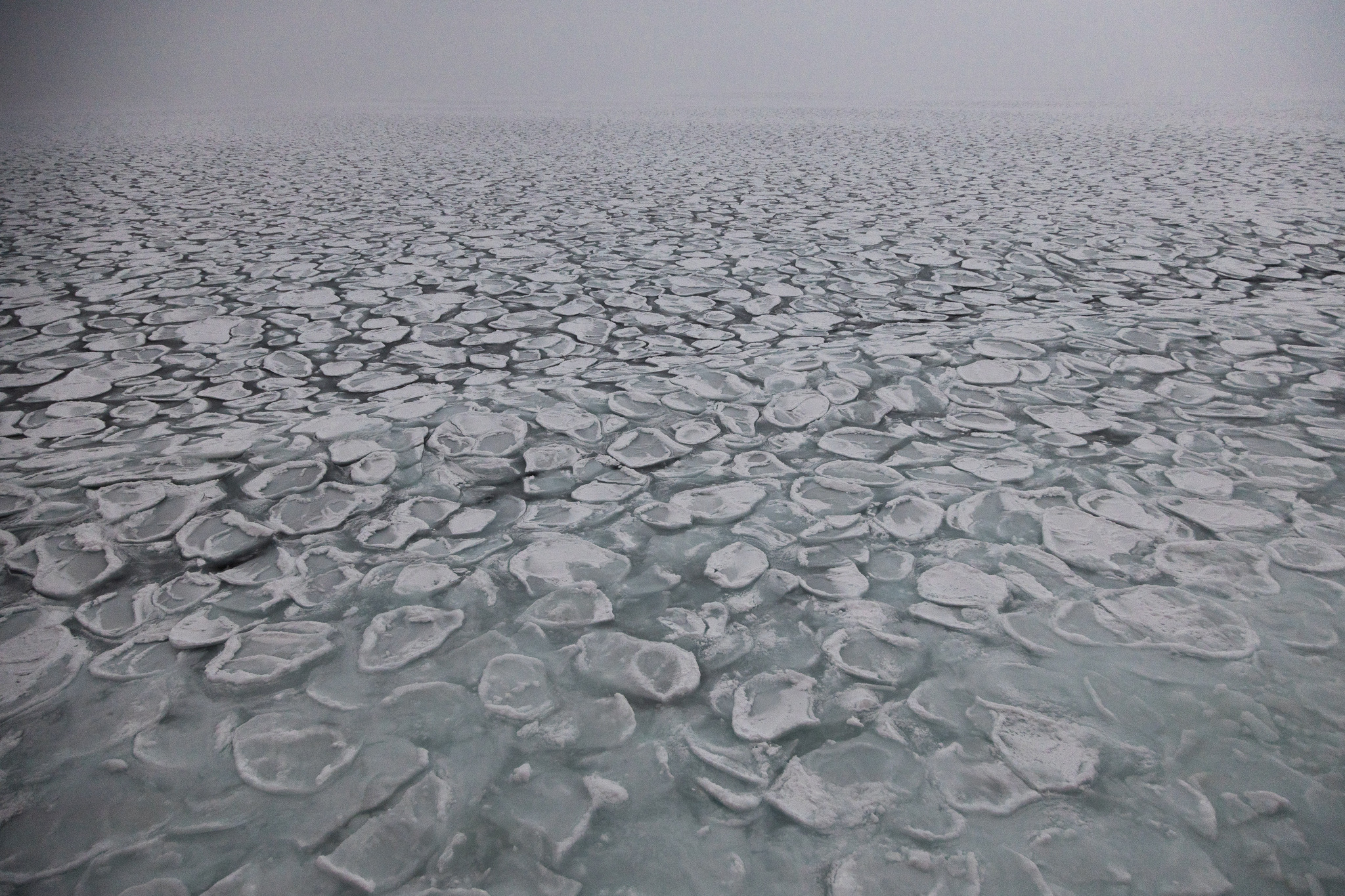 How the ocean freezes - My, Antarctica, Ice, Antarctica On-Line, Longpost, Sludge, Freezing, Sea