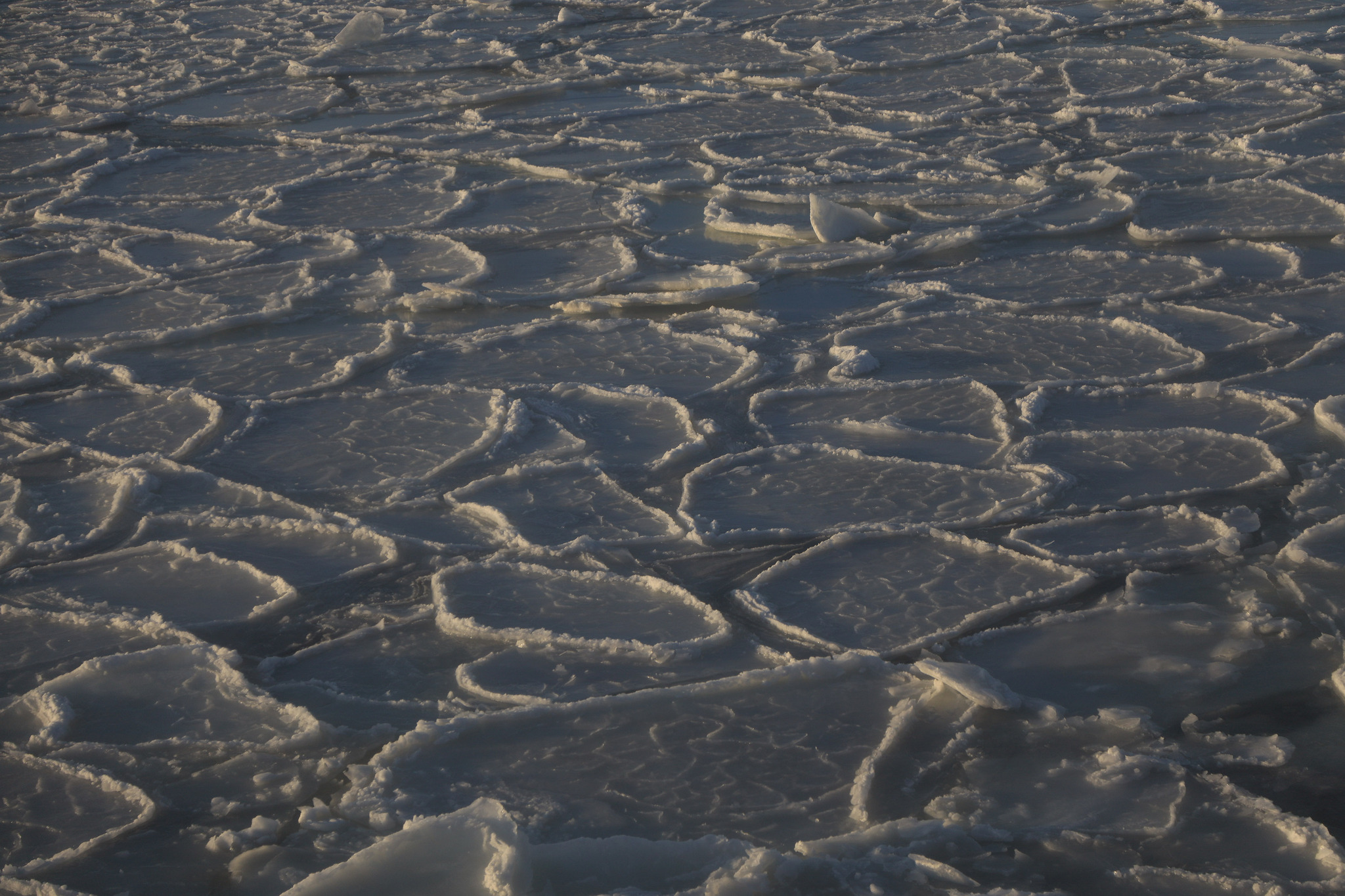 How the ocean freezes - My, Antarctica, Ice, Antarctica On-Line, Longpost, Sludge, Freezing, Sea