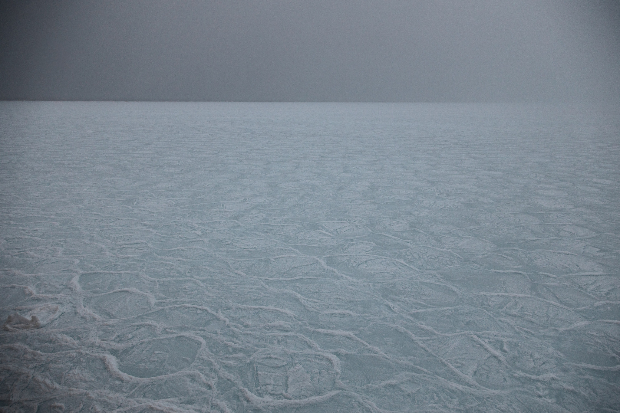 How the ocean freezes - My, Antarctica, Ice, Antarctica On-Line, Longpost, Sludge, Freezing, Sea