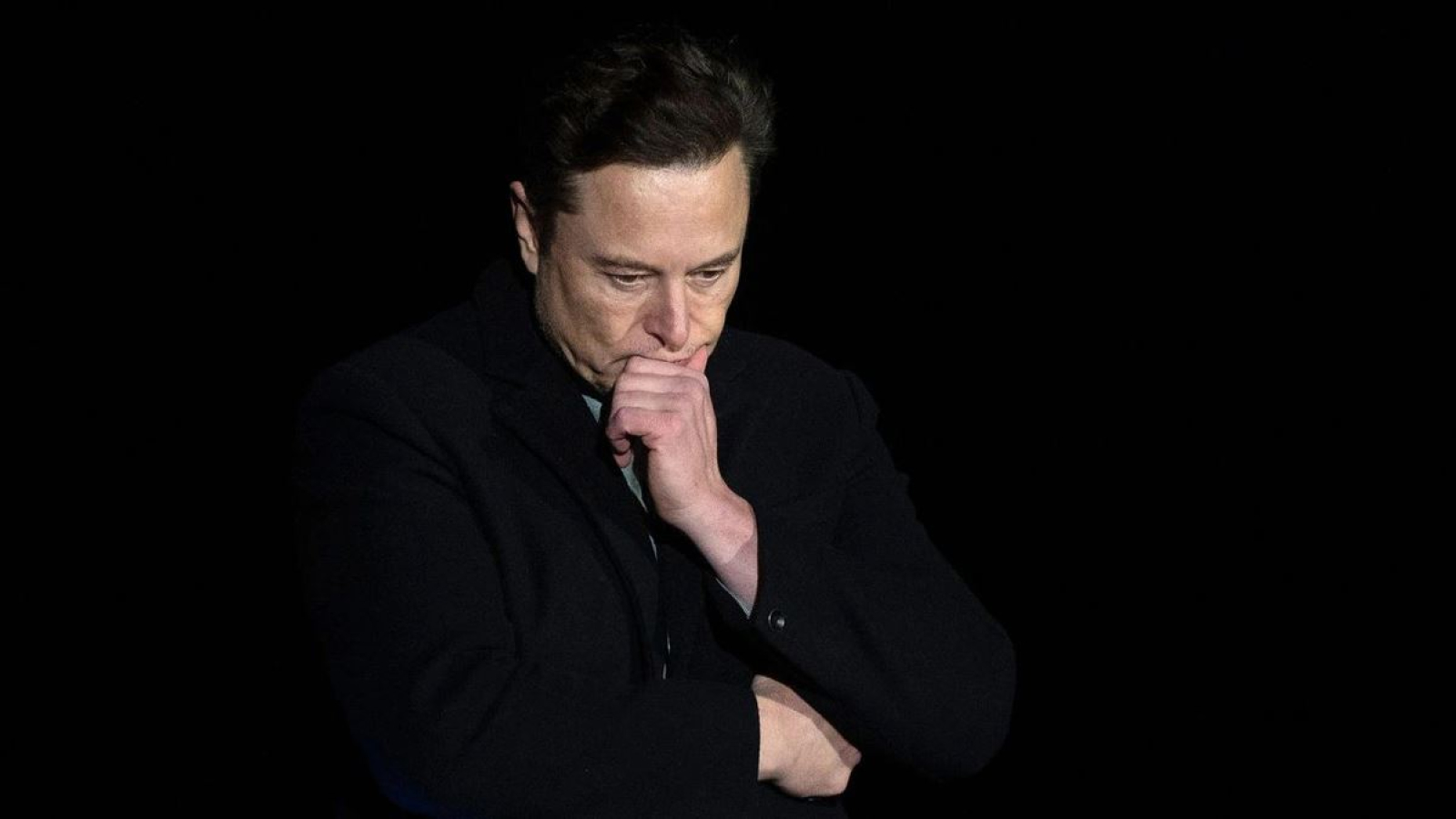 Elon Musk: Russia-Ukraine peace treaty will include reparations - My, Elon Musk, Reparations, Peace Treaty, Politics, Satire, IA Panorama