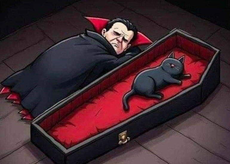 C - care L - love - Memes, Humor, Black cat, cat, Pet the cat, Vampires, Dracula, Milota, Mystic