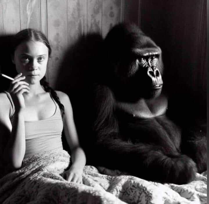 Fight for ecology - Humor, Picture with text, Greta Thunberg, Gorilla