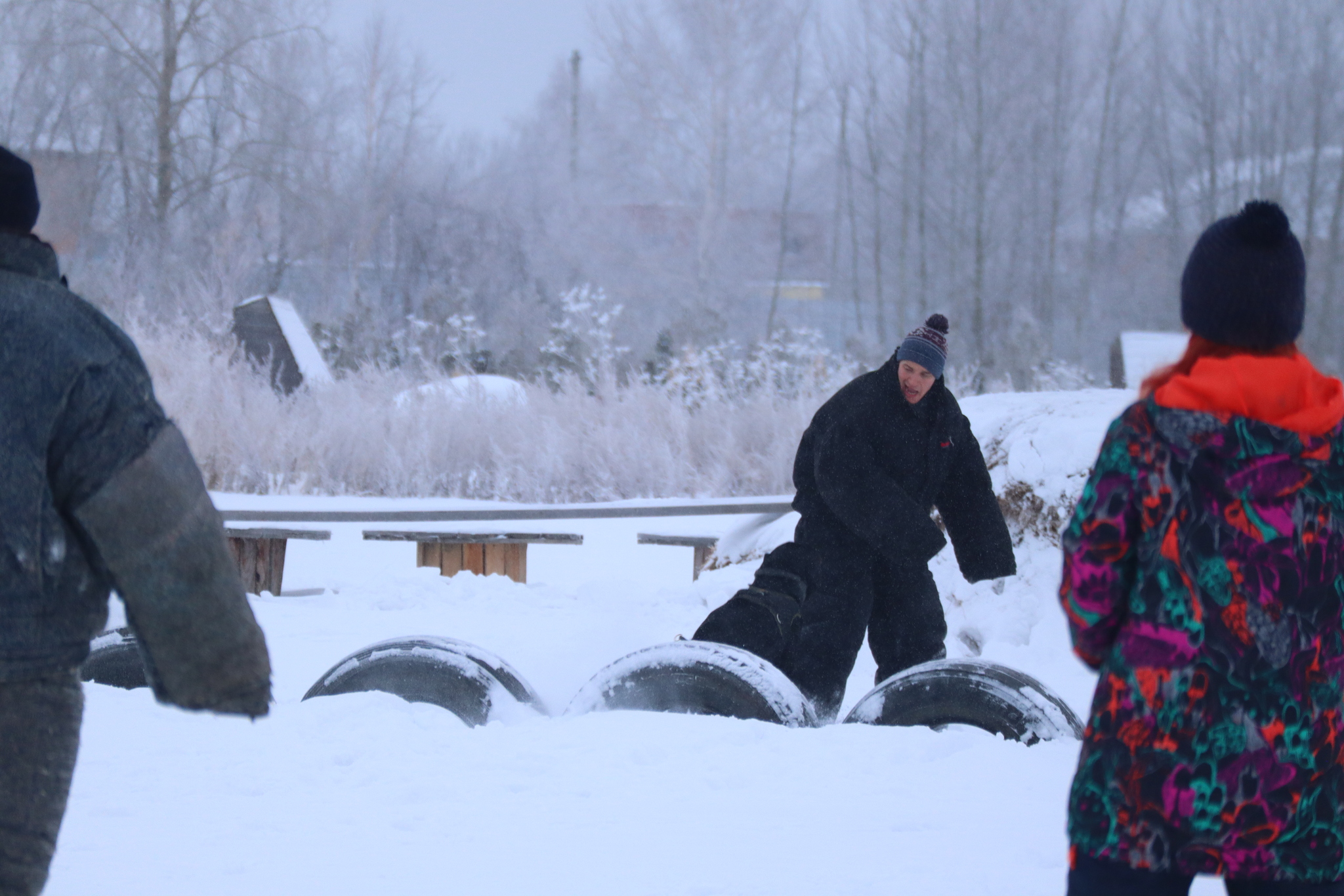 Dog training in Omsk - OCSSSS 12/21/2024 - Dog, Puppies, Omsk, Training, Г“Г±Г±Г±, Friend, Care, Kindness, Dog breeding, Friends