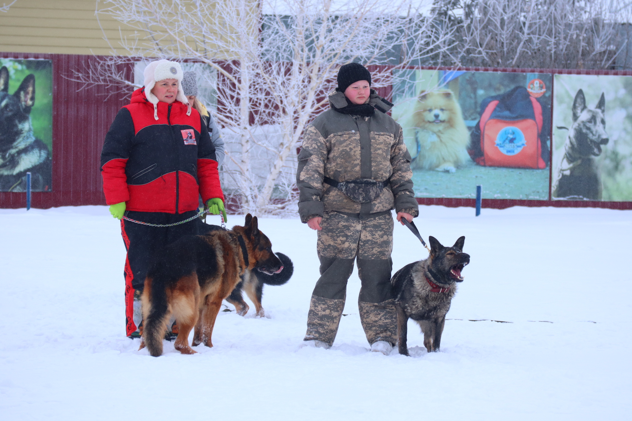 Dog training in Omsk - OCSSSS 12/21/2024 - Dog, Puppies, Omsk, Training, Г“Г±Г±Г±, Friend, Care, Kindness, Dog breeding, Friends