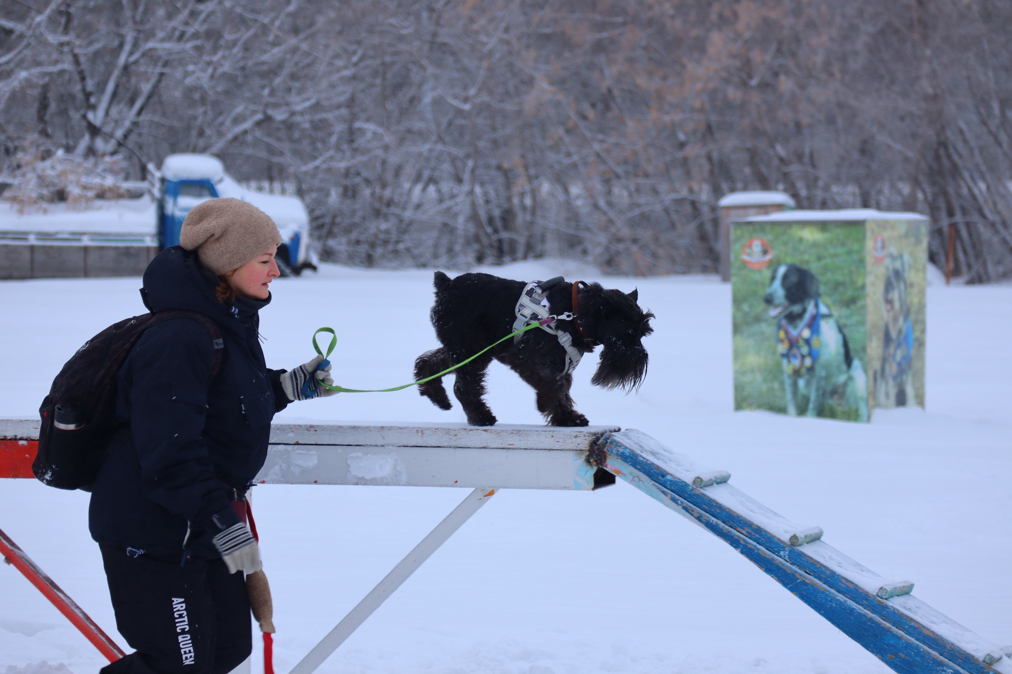 Dog training in Omsk - OCSSSS 12/21/2024 - Dog, Puppies, Omsk, Training, Г“Г±Г±Г±, Friend, Care, Kindness, Dog breeding, Friends