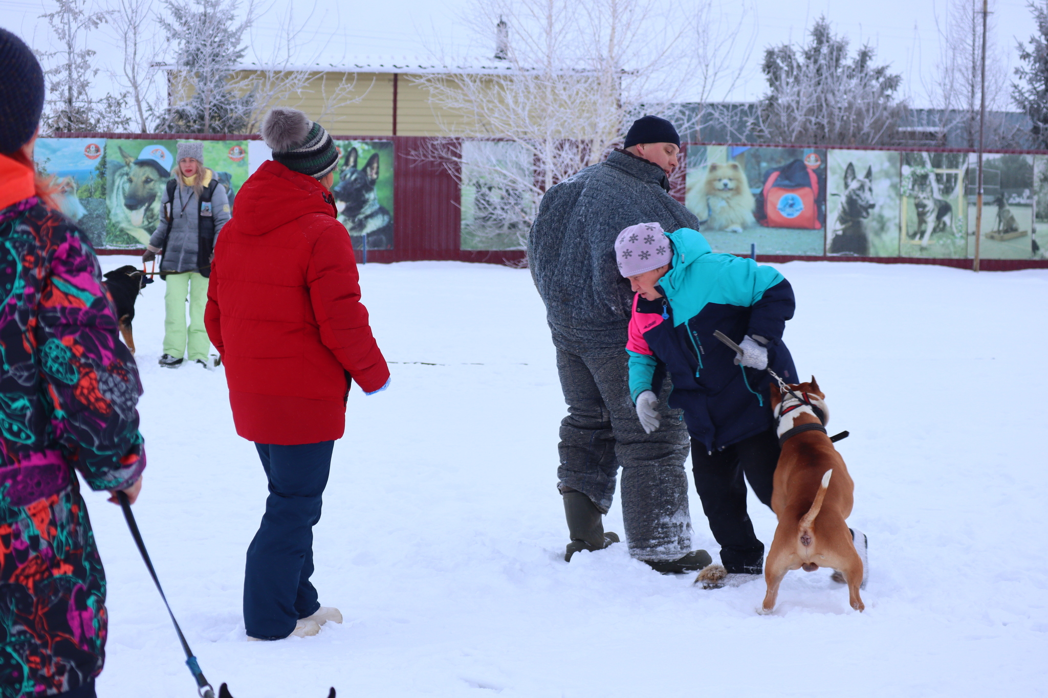 Dog training in Omsk - OCSSSS 12/21/2024 - Dog, Puppies, Omsk, Training, Г“Г±Г±Г±, Friend, Care, Kindness, Dog breeding, Friends