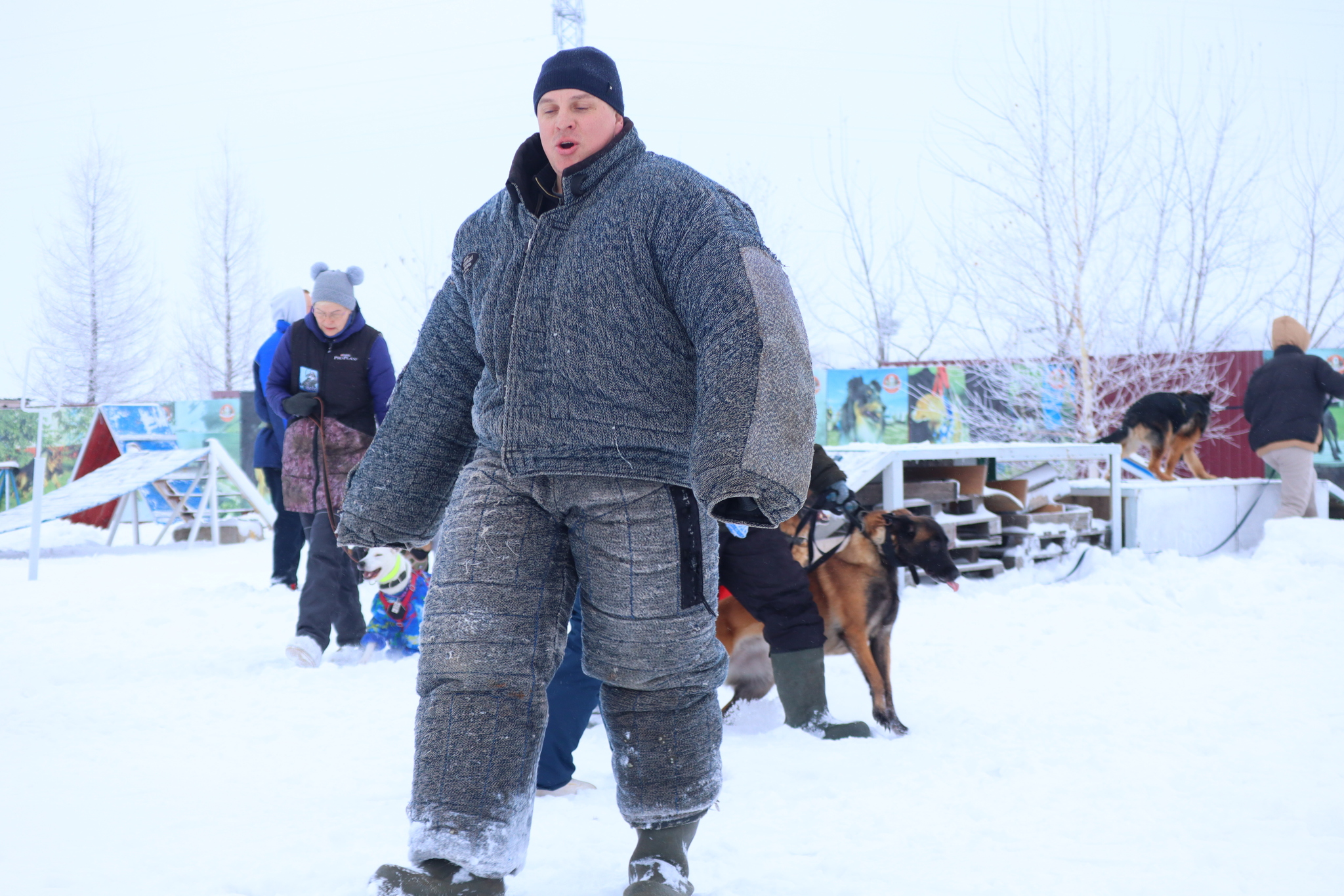 Dog training in Omsk - OCSSSS 12/21/2024 - Dog, Puppies, Omsk, Training, Г“Г±Г±Г±, Friend, Care, Kindness, Dog breeding, Friends