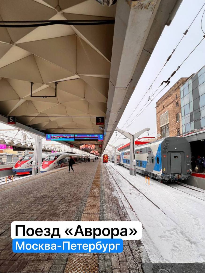 Personal experience: What the new old train Aurora between Moscow and St. Petersburg looks like. I rode the first trip. There are good and bad - My, Russian Railways, Railway, Travel planning, Personal experience, A train, Moscow, Saint Petersburg, Peregrine falcon, Longpost