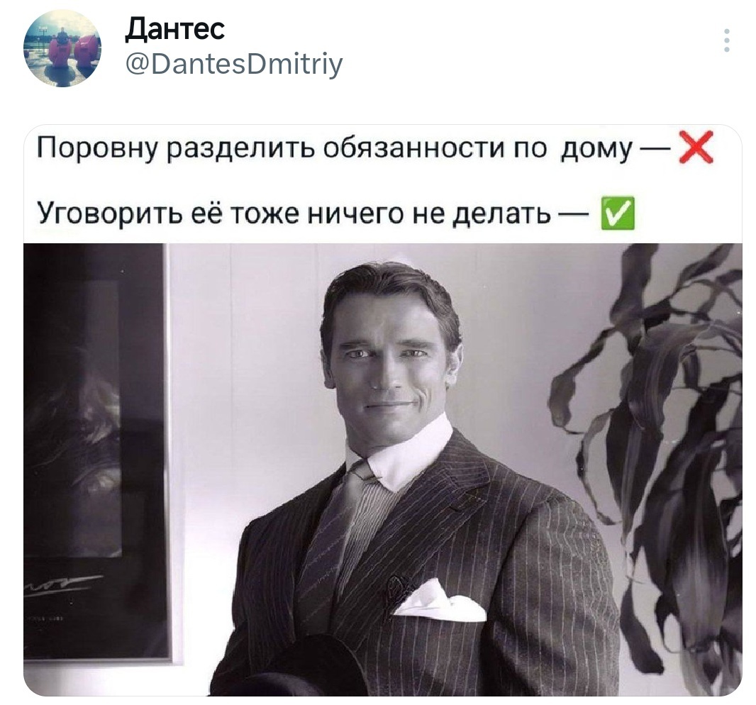 Home Diplomacy - Memes, Humor, Picture with text, Screenshot, Twitter, Arnold Schwarzenegger, Duties, Men and women, Dantes - Twitter