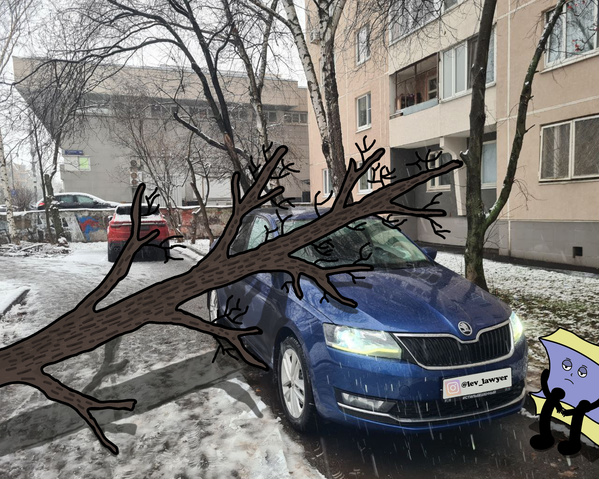 A tree fell on your car. What to do? - My, Legal stories, Court, Lawyers, Legal aid