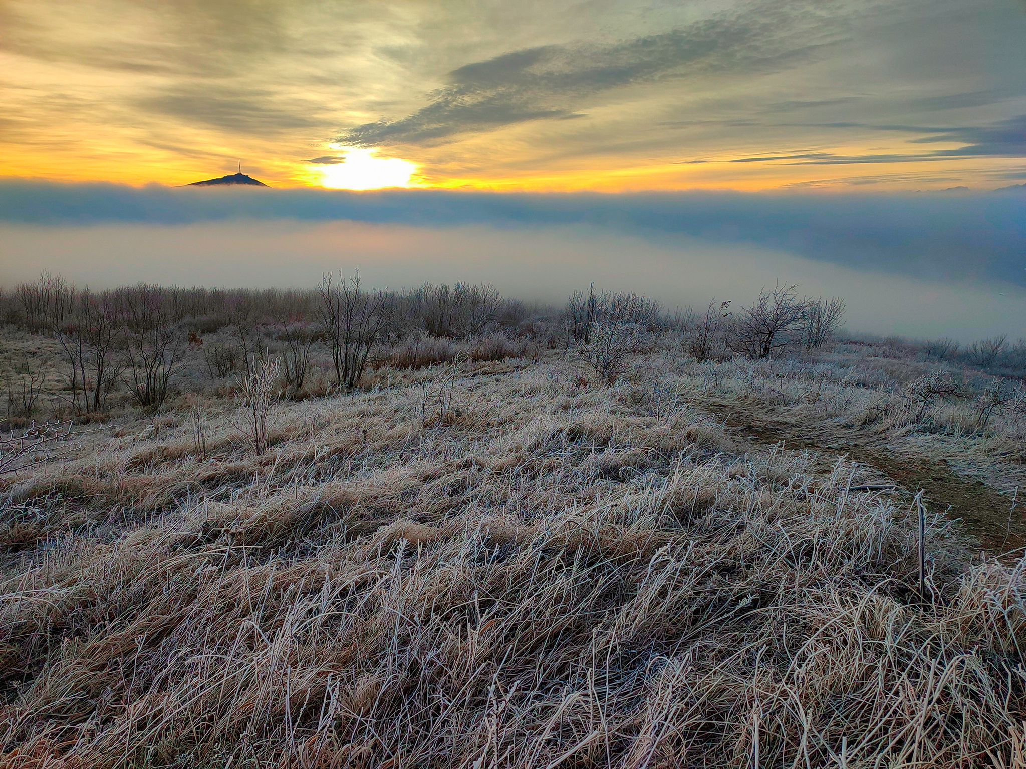 Wall of fog - My, Landscape, Nature, Caucasian Mineral Waters, Mobile photography, Fog