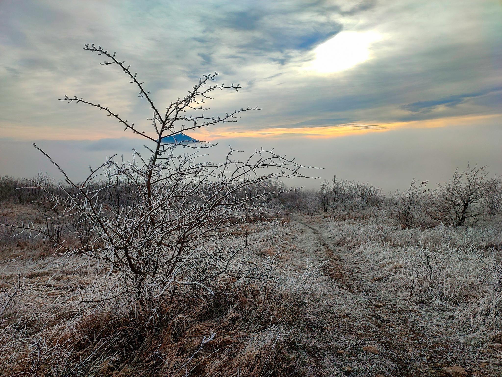 Wall of fog - My, Landscape, Nature, Caucasian Mineral Waters, Mobile photography, Fog