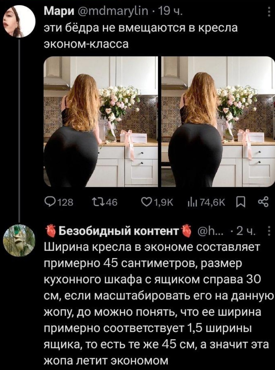 Поставил на место - Юмор, Картинка с текстом, Скриншот, Twitter, Попа, Эконом-Класс, Ответ, Бедра, Размер, Самолет