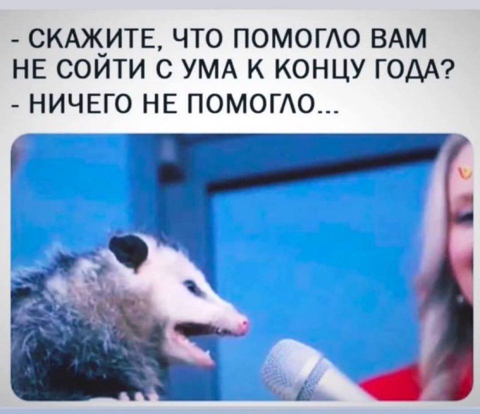 Status by the end of the year - My, Humor, Memes, Picture with text, Telegram (link), Opossum