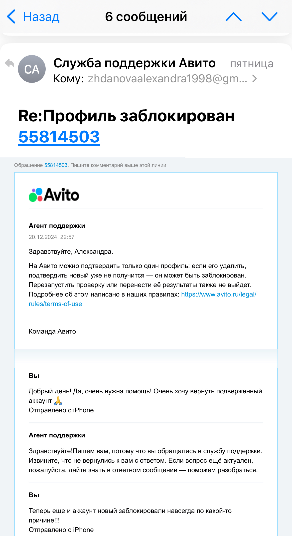 Did you know that you can only go through a document check at Avito once in your life?! - Avito, Support service, Cheating clients, Longpost