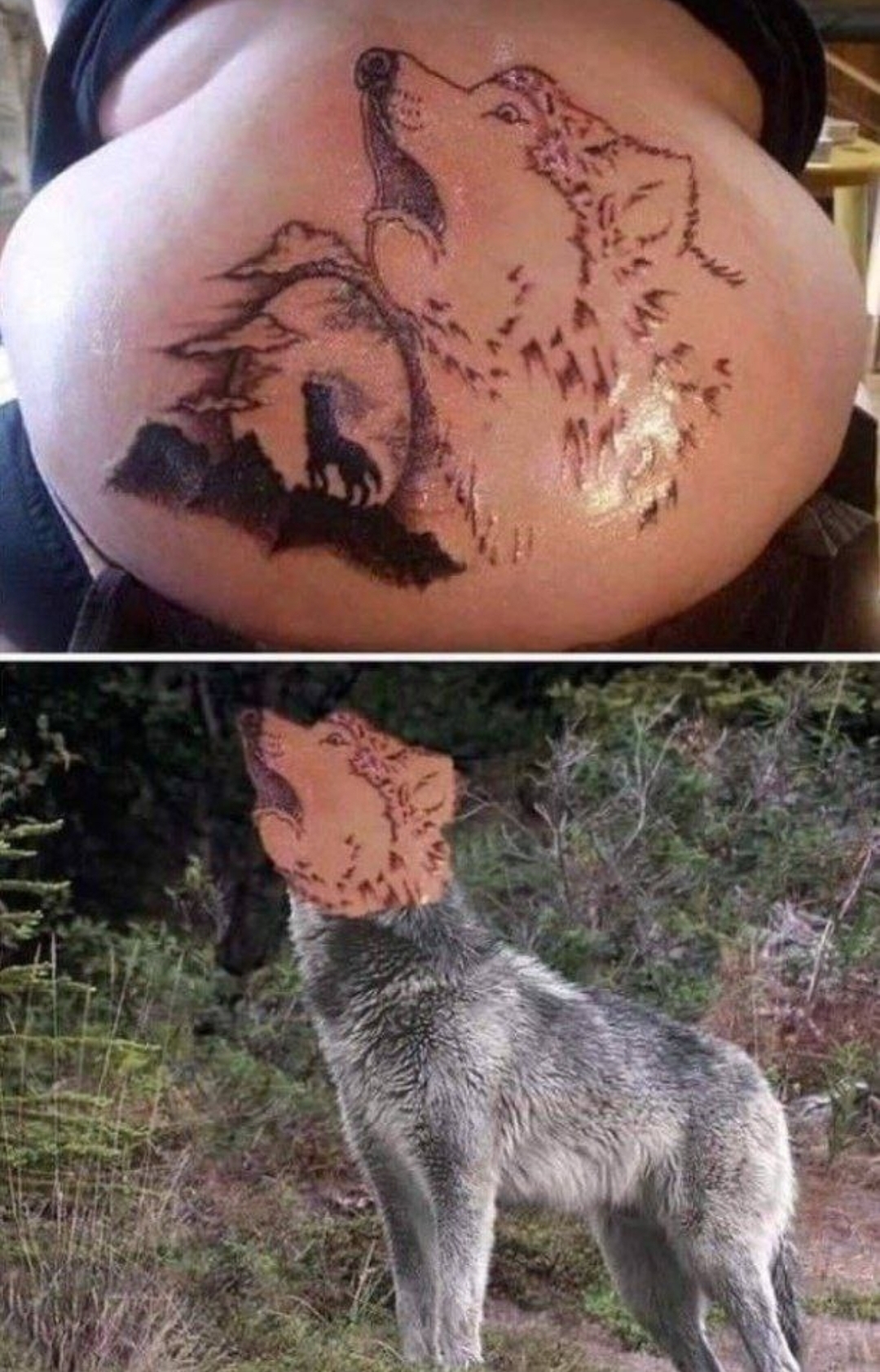 Bad Tattoo - Tattoo, Wolf, Tattoo sketch, Humor