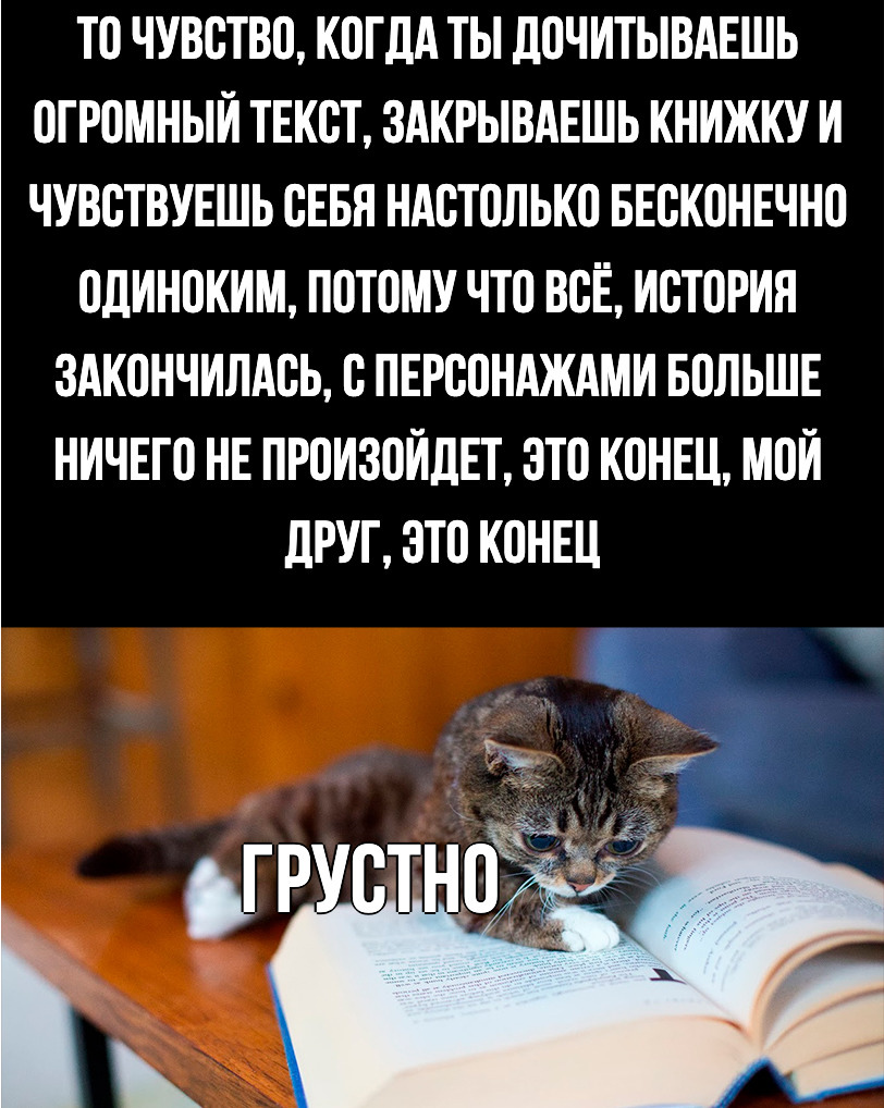 In memory of favorite books - The senses, Internal dialogue, Emotions, Calmness, Flibusta, Picture with text, cat, Books