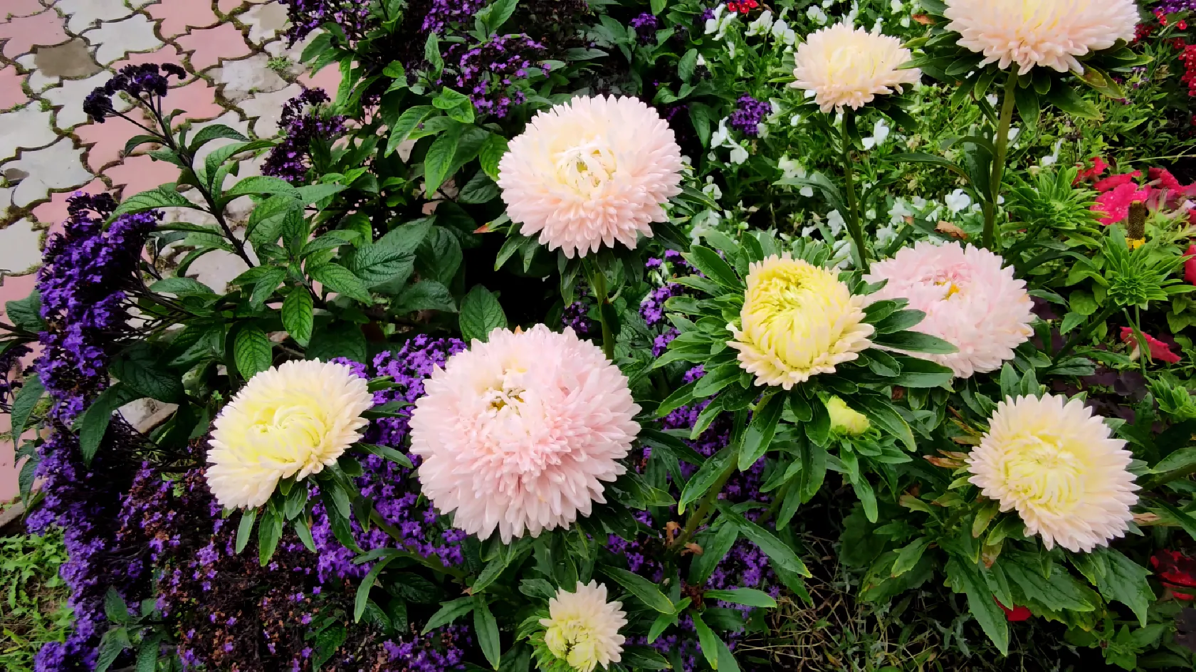 Biz buni siz uchun tuzatamiz. Uzbek seks