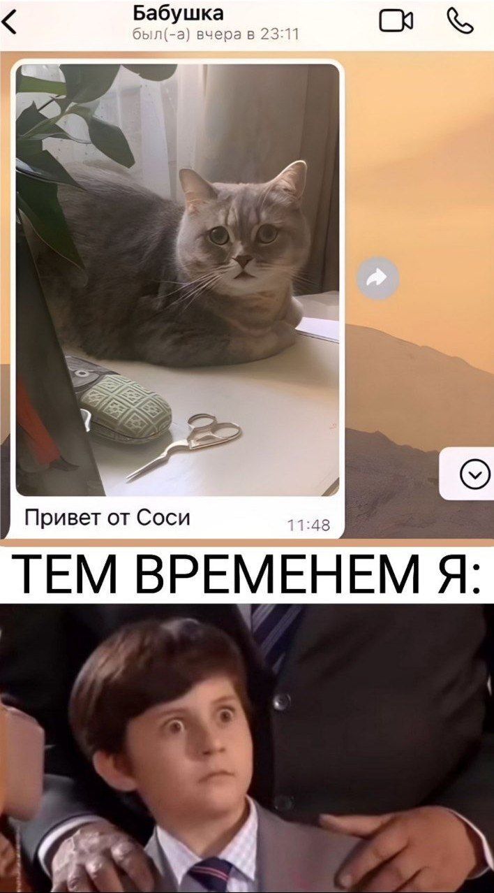Этот день настал. Сашка официально крупнее Твари, но продолжает её сосать. | By Галина Иевлева Этот день настал. Сашка официально крупнее Твари, но продолжает её сосать. | By Галина Иевлева